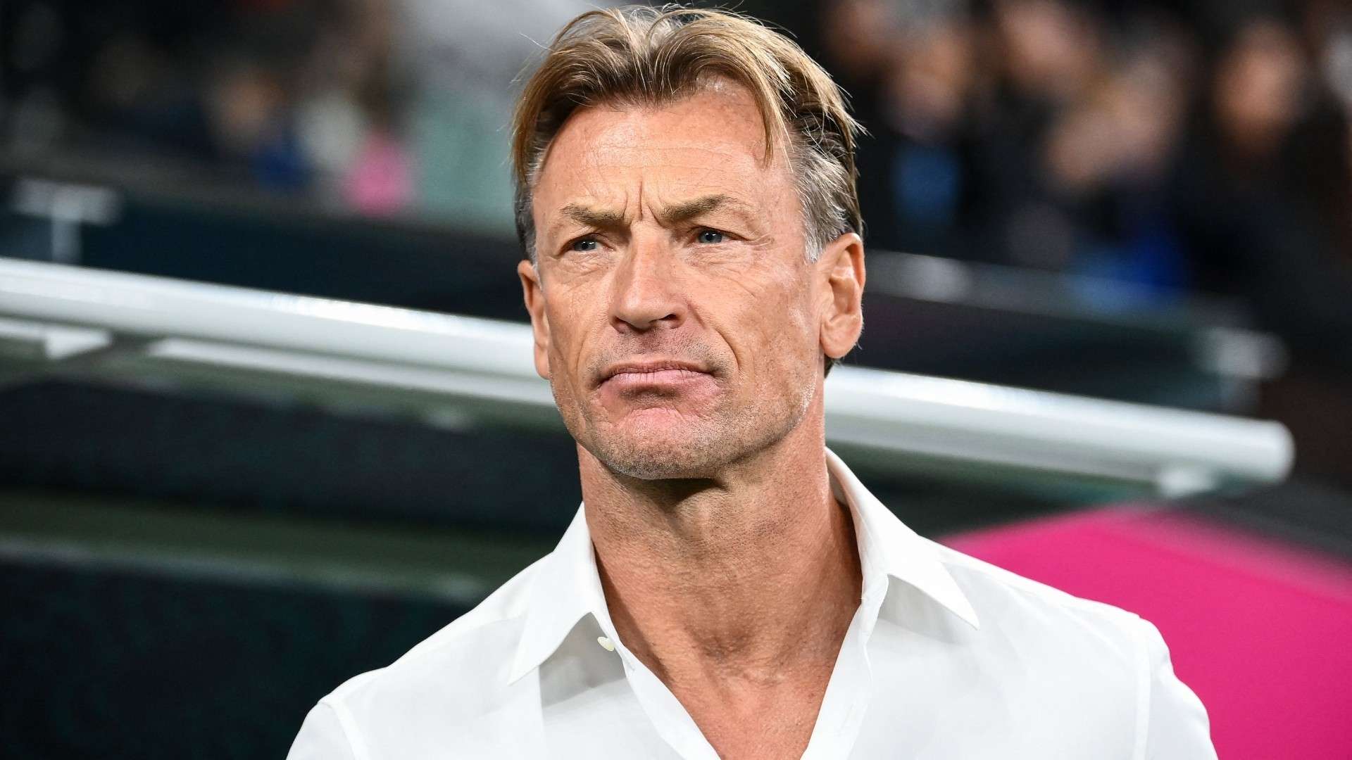 France's coach Herve Renard