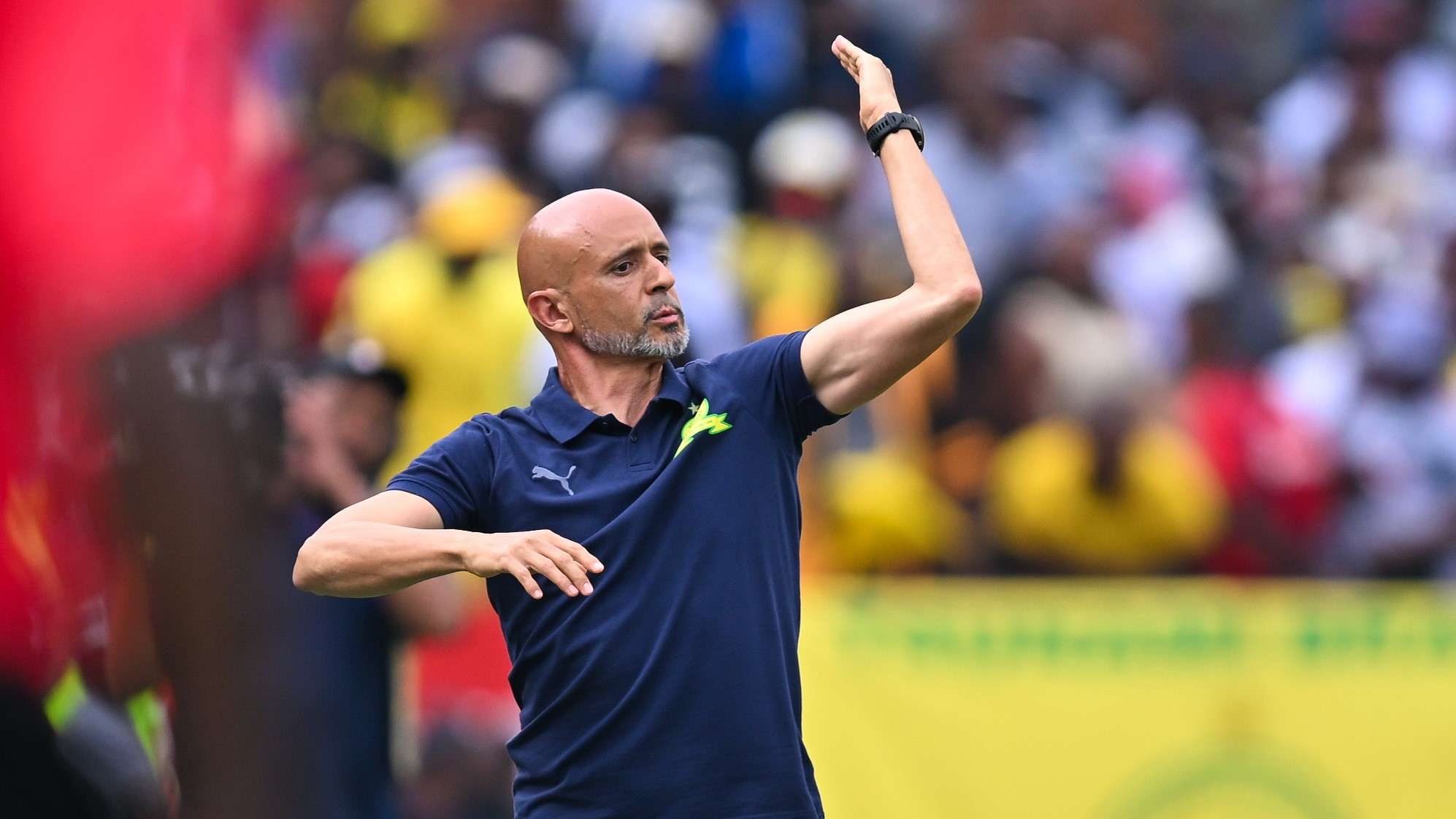 Miguel Cardoso, Mamelodi Sundowns, November 2025