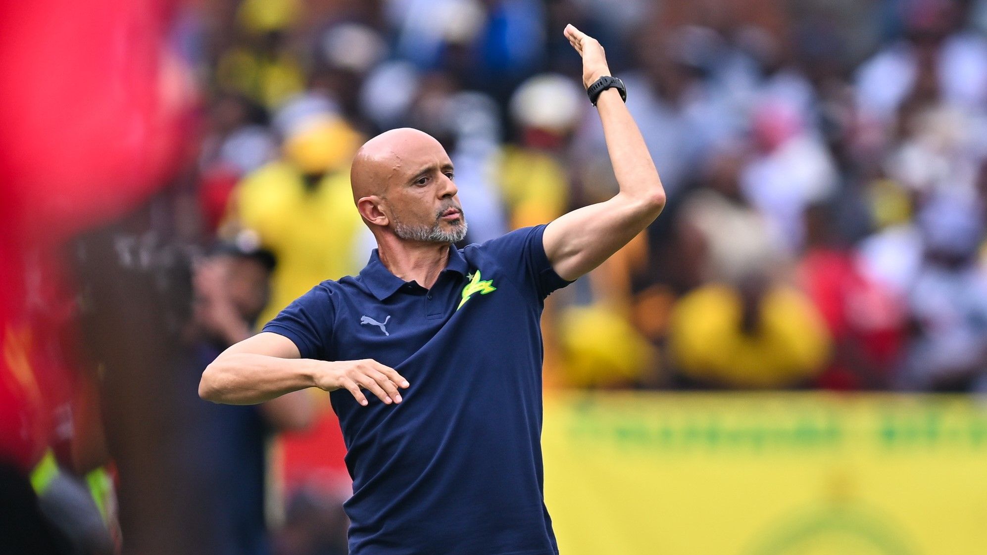 Miguel Cardoso, Mamelodi Sundowns, November 2025