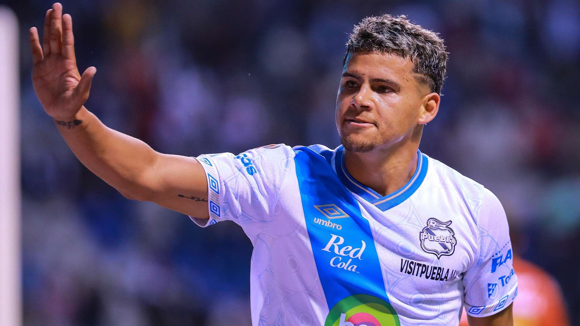 Maximiliano Araujo Puebla