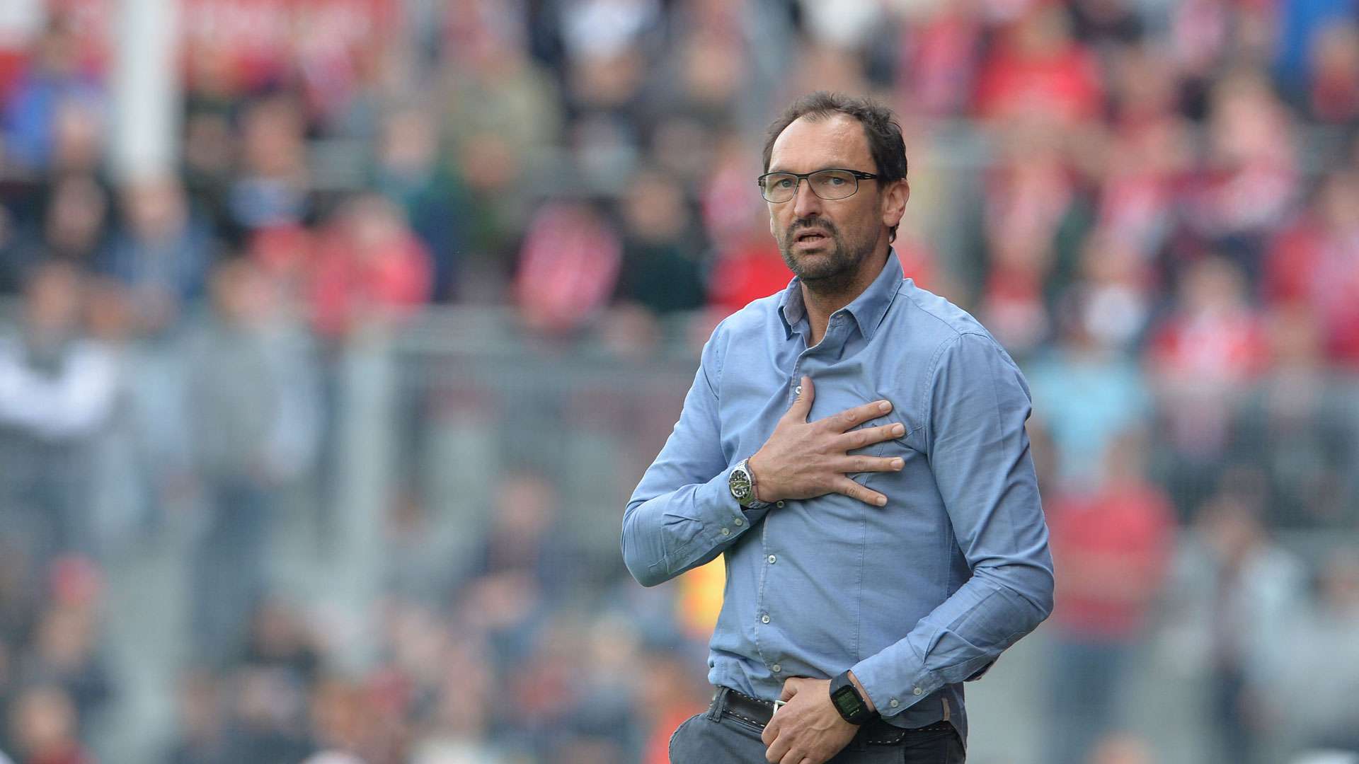 Pele Wollitz Energie Cottbus 14052016