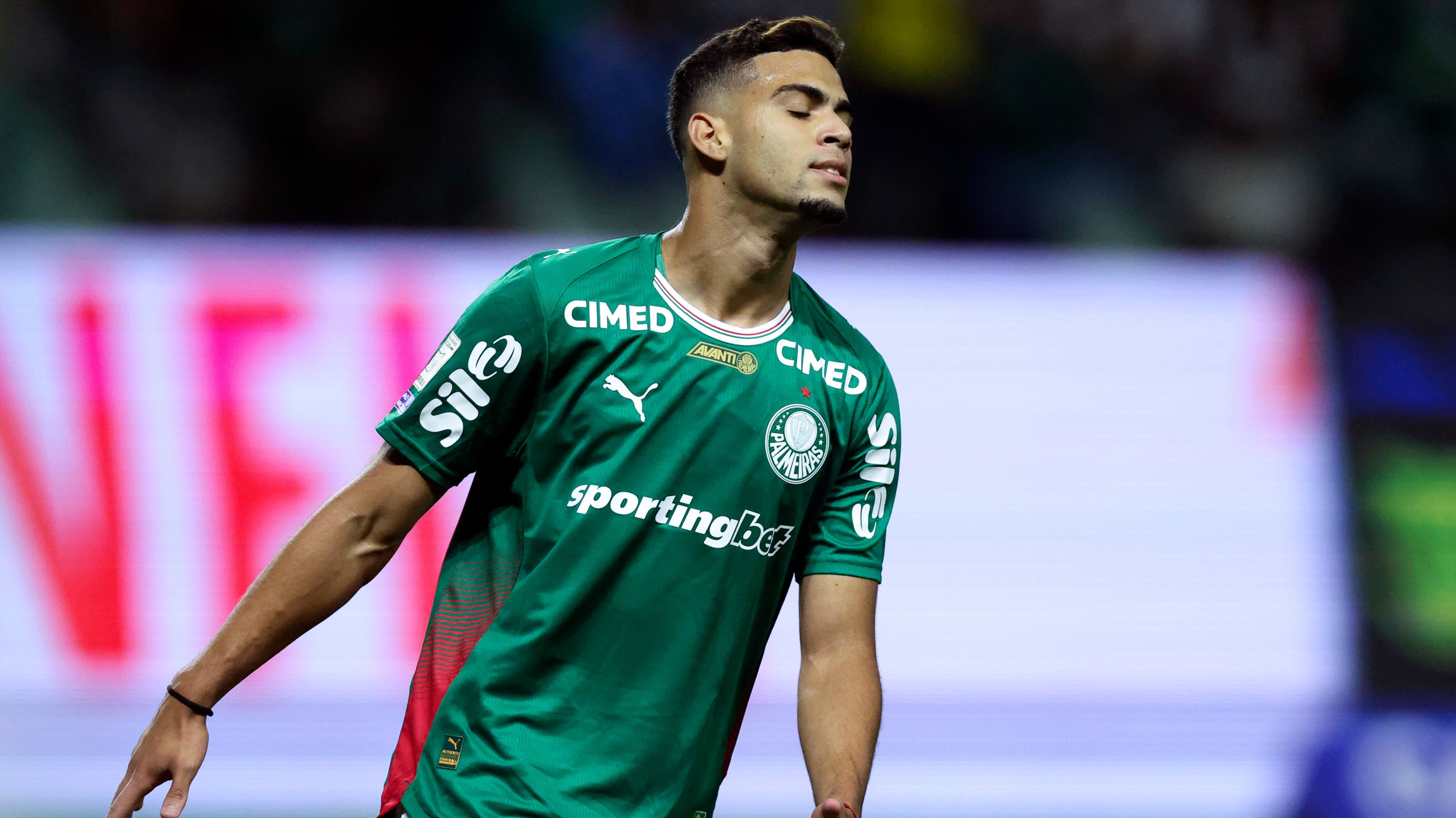 Arthur Gabriel Palmeiras