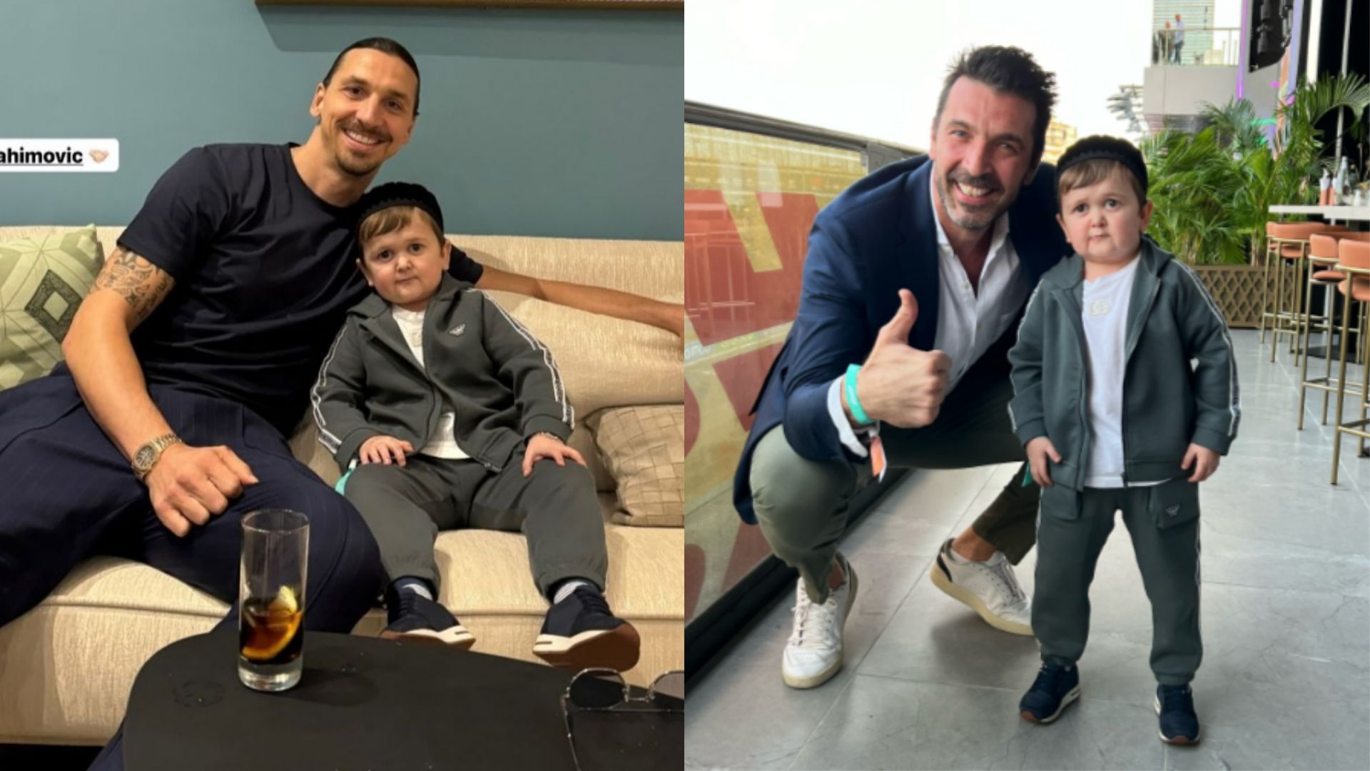 Hasbulla Zlatan Buffon 