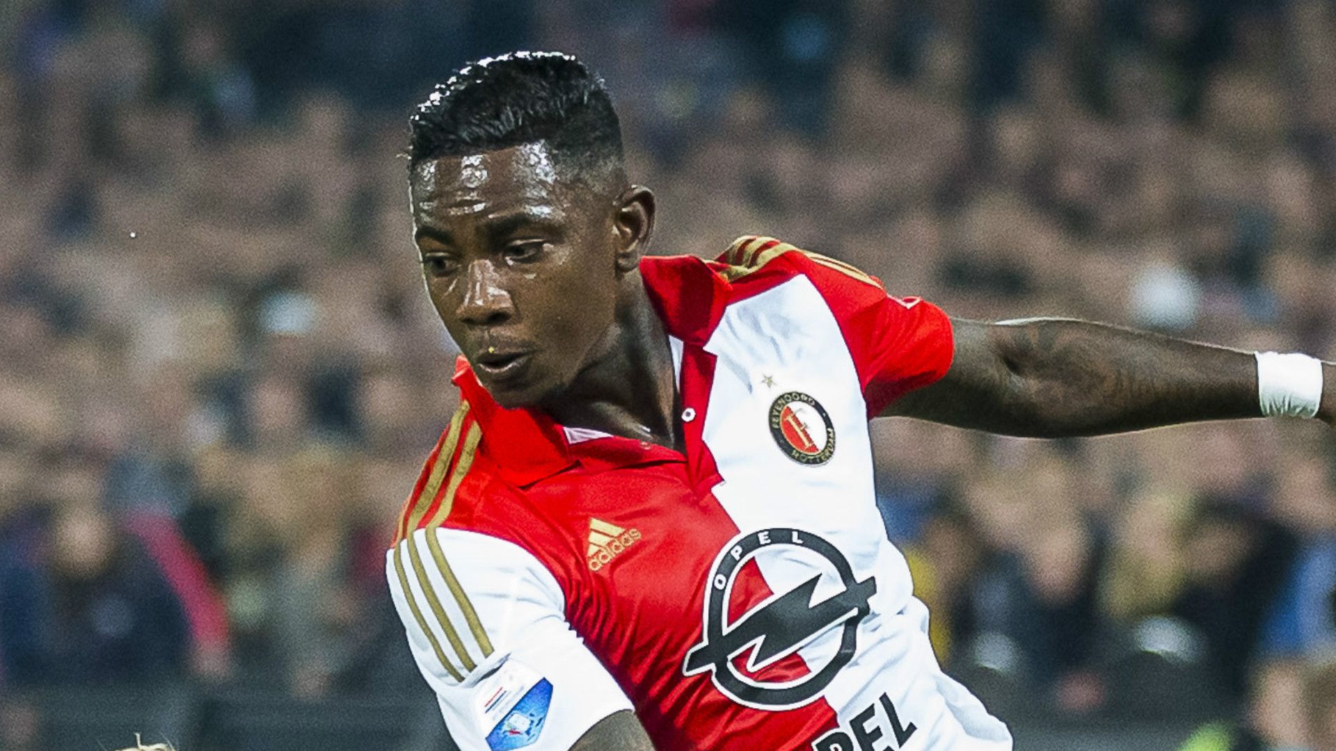 Eljero Elia, Feyenoord
