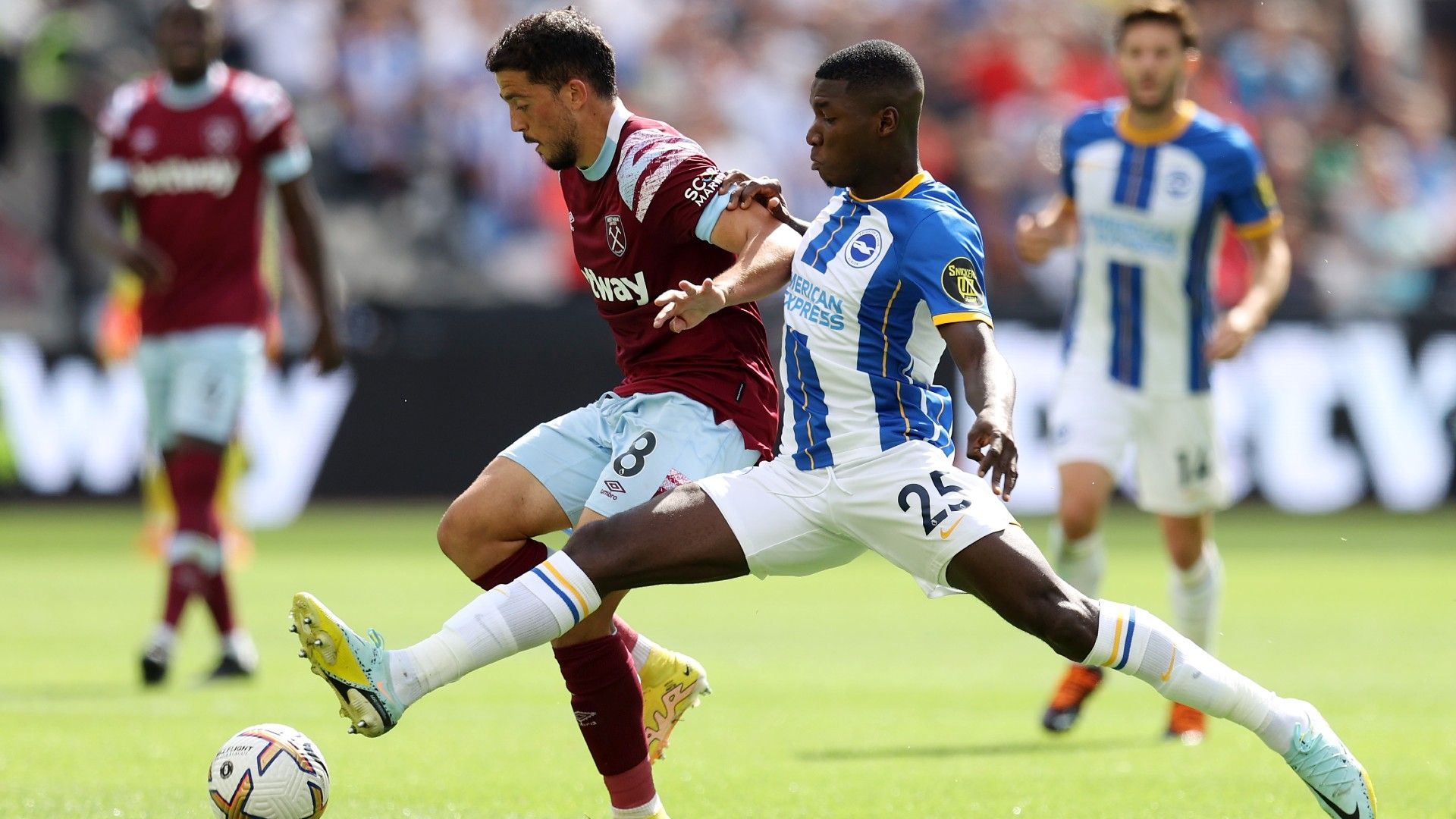 Caicedo Brighton 2022-23