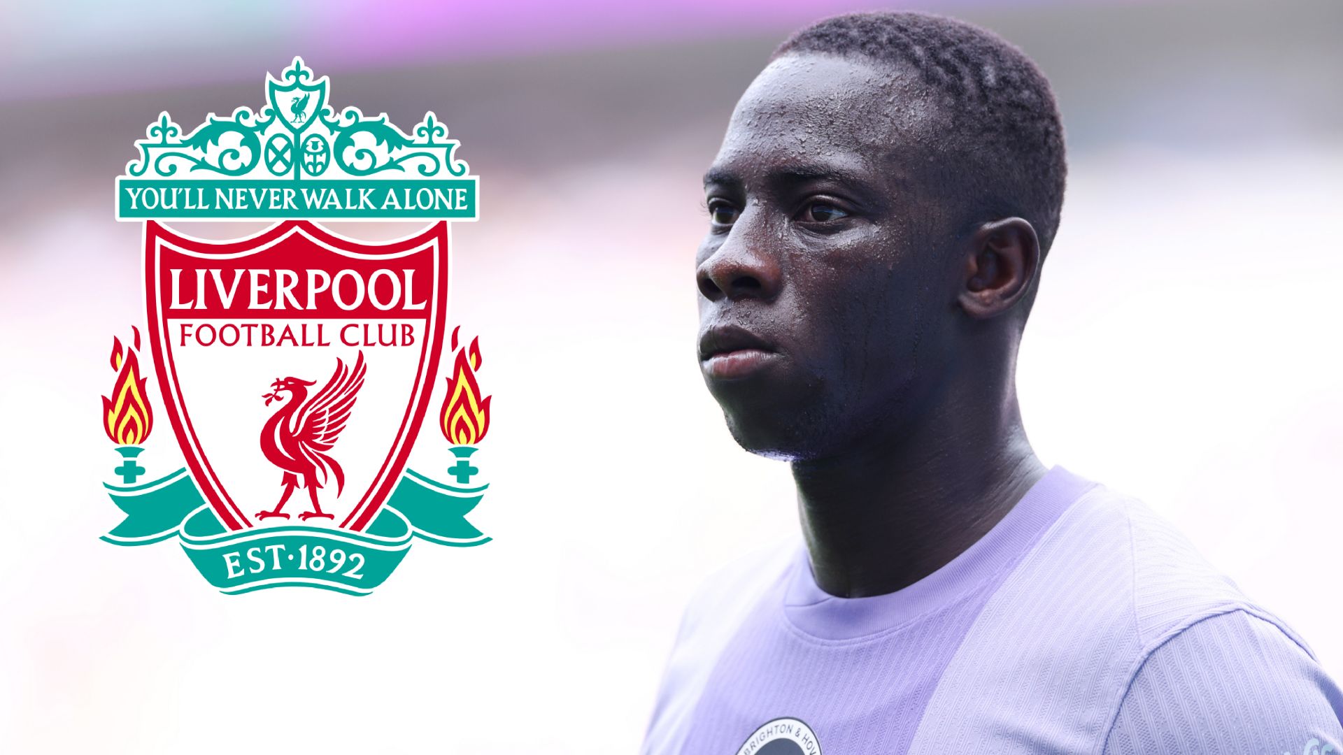 Yankuba Minteh Liverpool crest