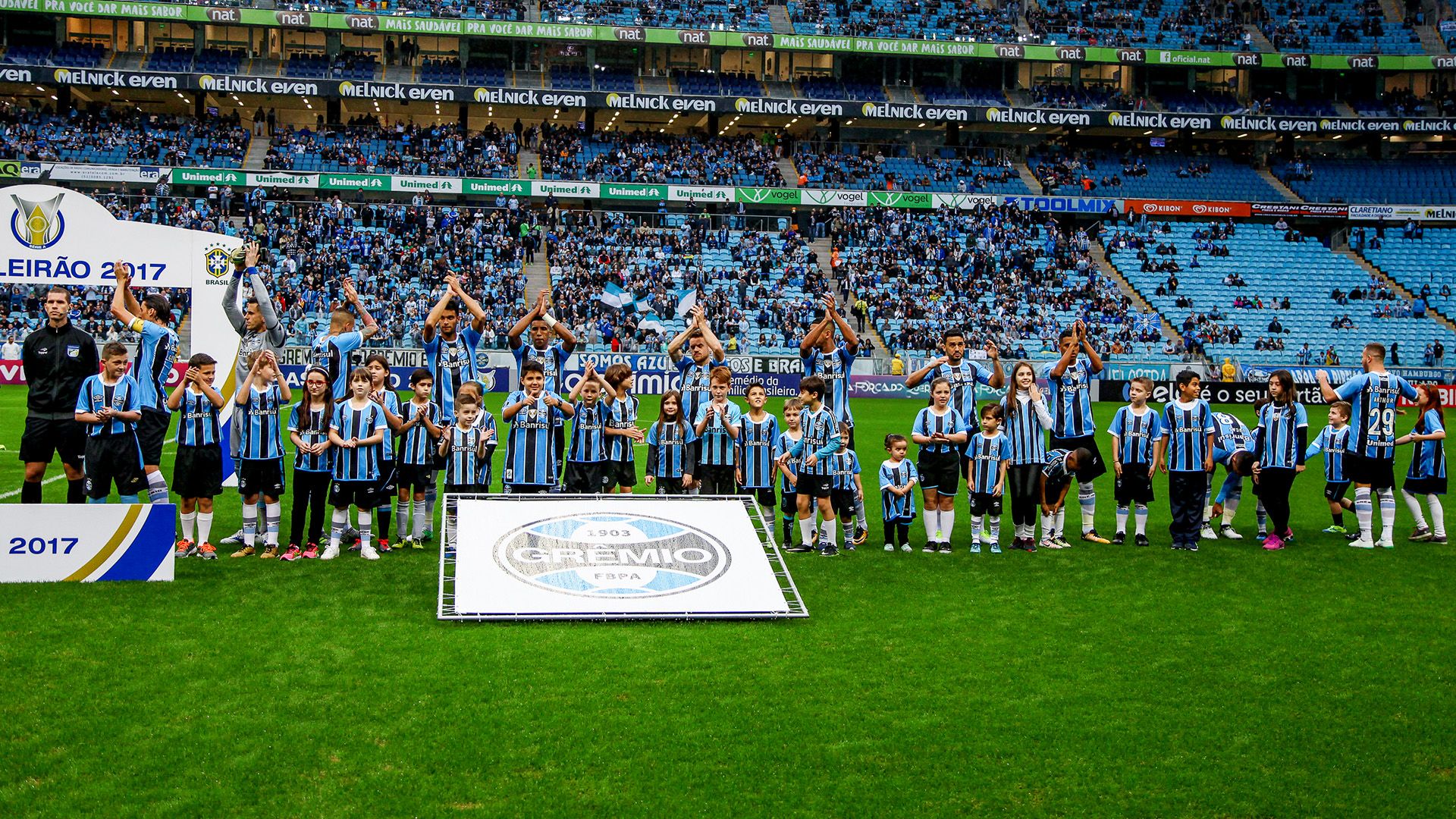 Arena Gremio Ponte Preta Brasileirao Serie A 16072017