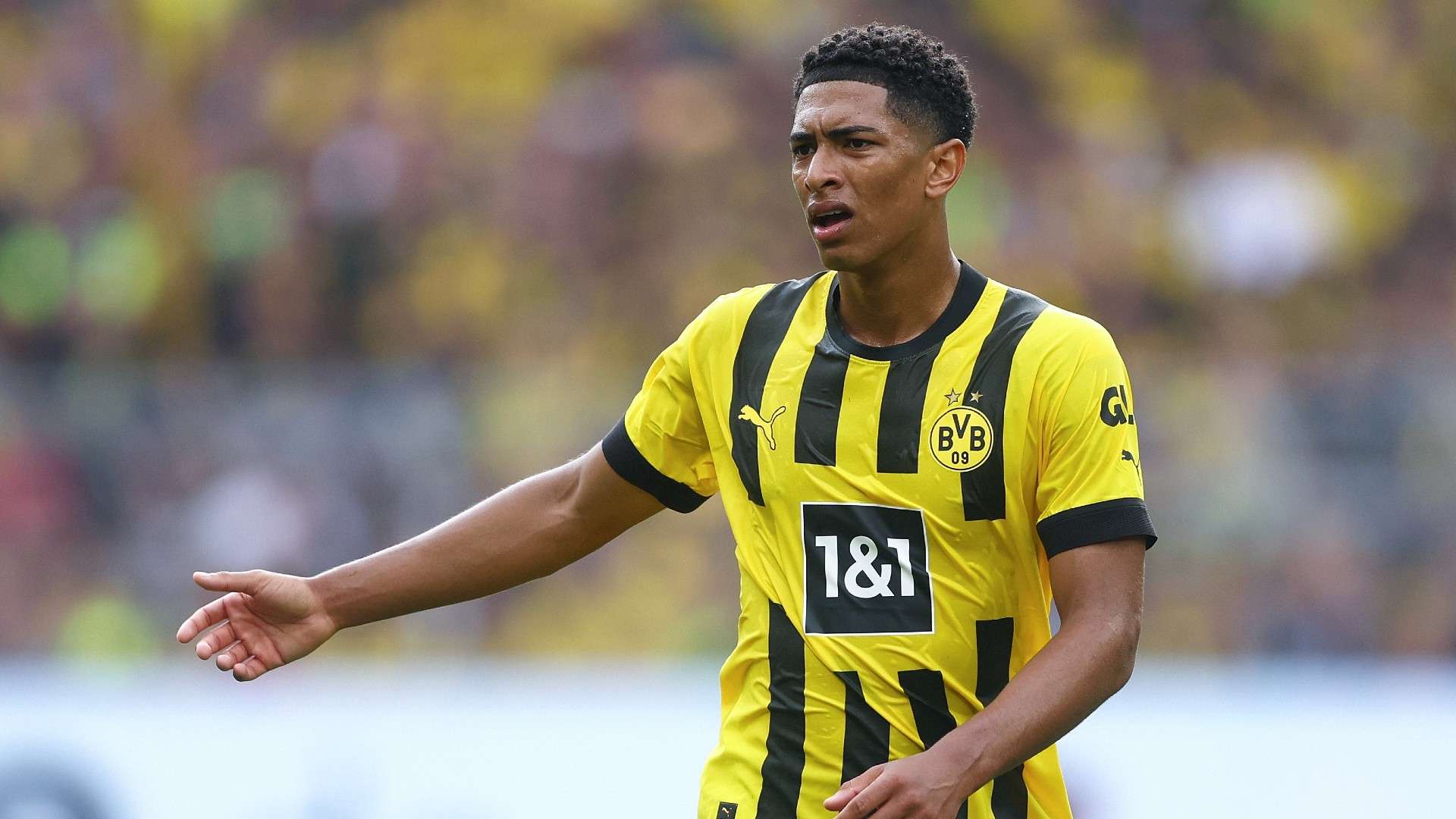 Bellingham BVB 22-23