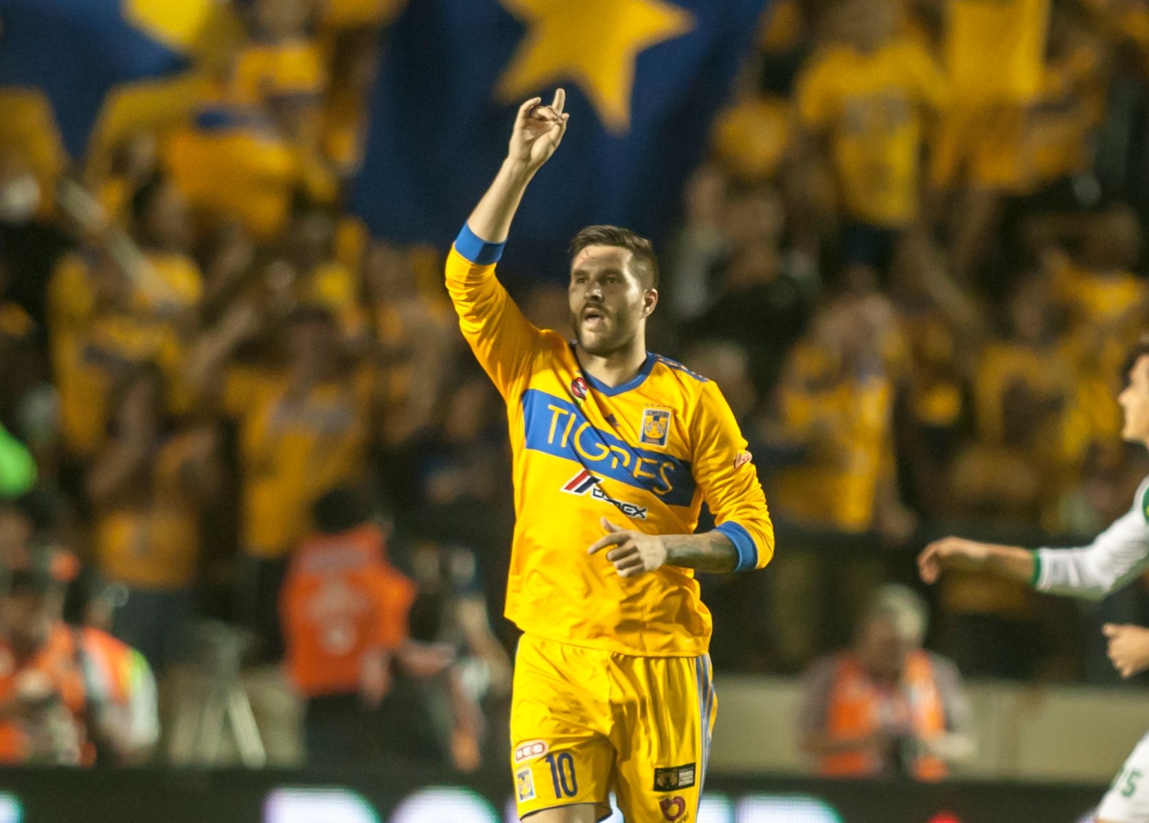 Gignac Tigres