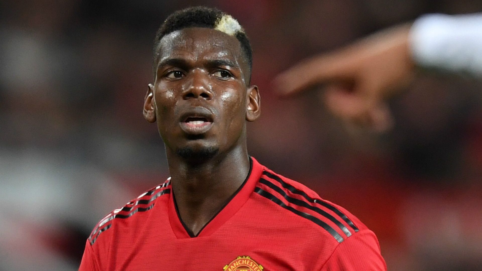 Paul Pogba Manchester United 2018-19