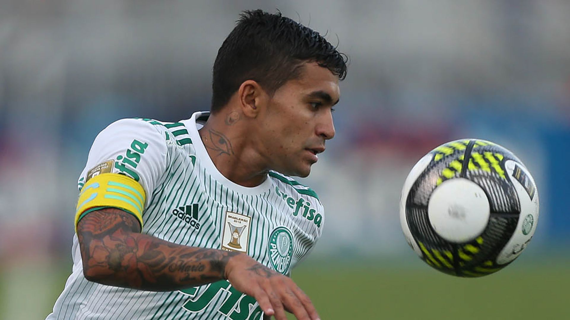 Dudu Ponte Preta Palmeiras Paulista 16042017