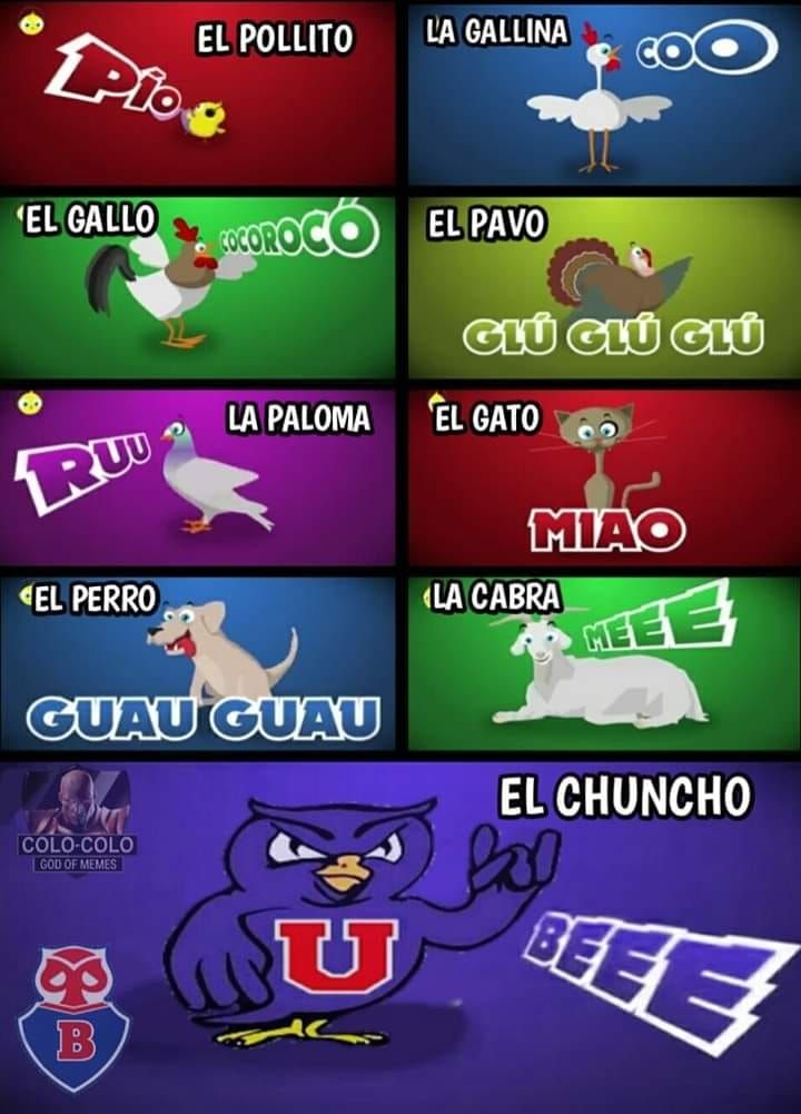 Memes Universidad de Chile Curicó
