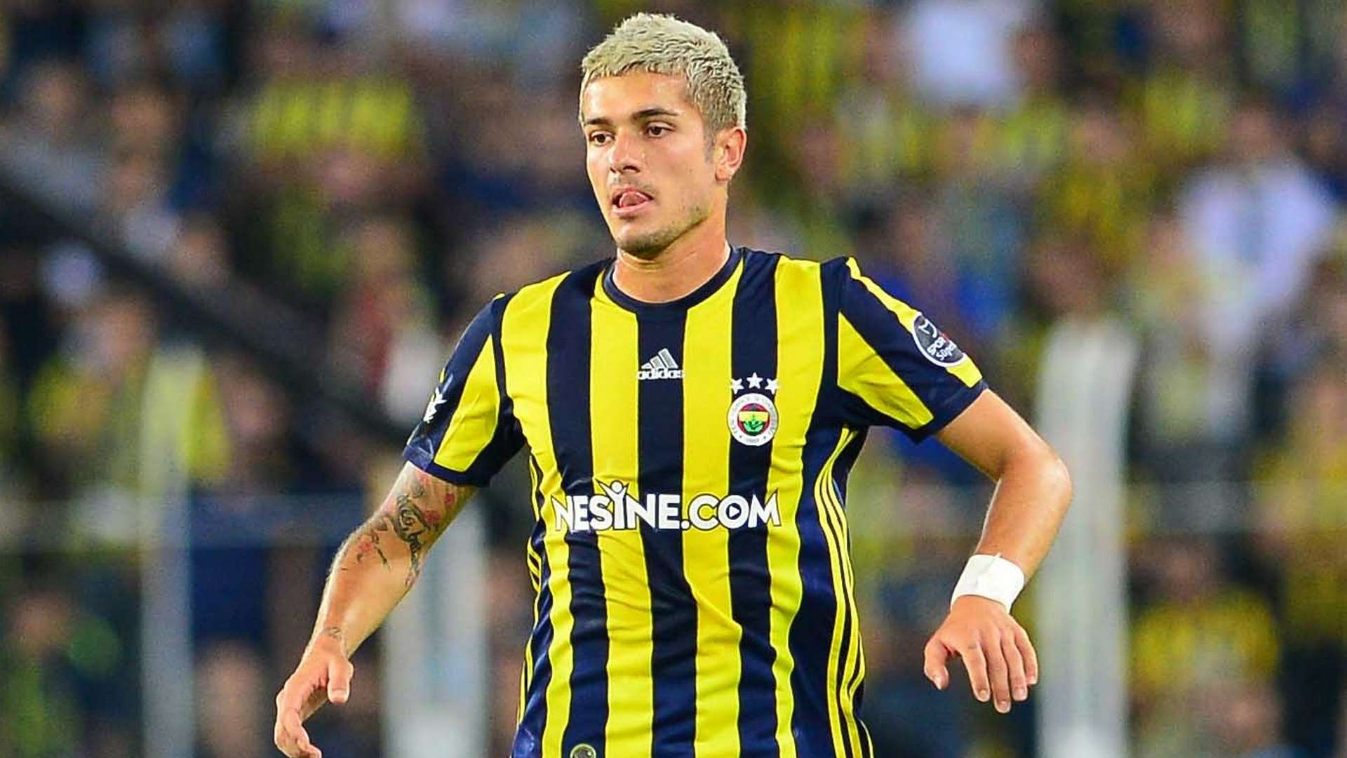 Roman Neustadter Fenerbahce