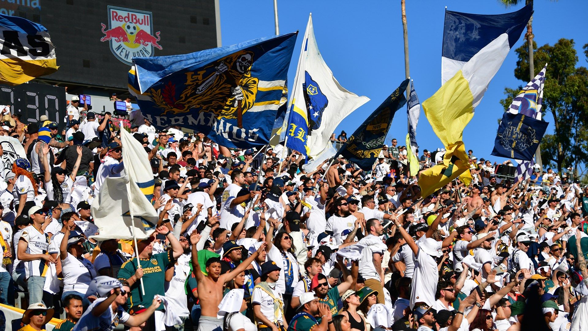 LA Galaxy fans 2024