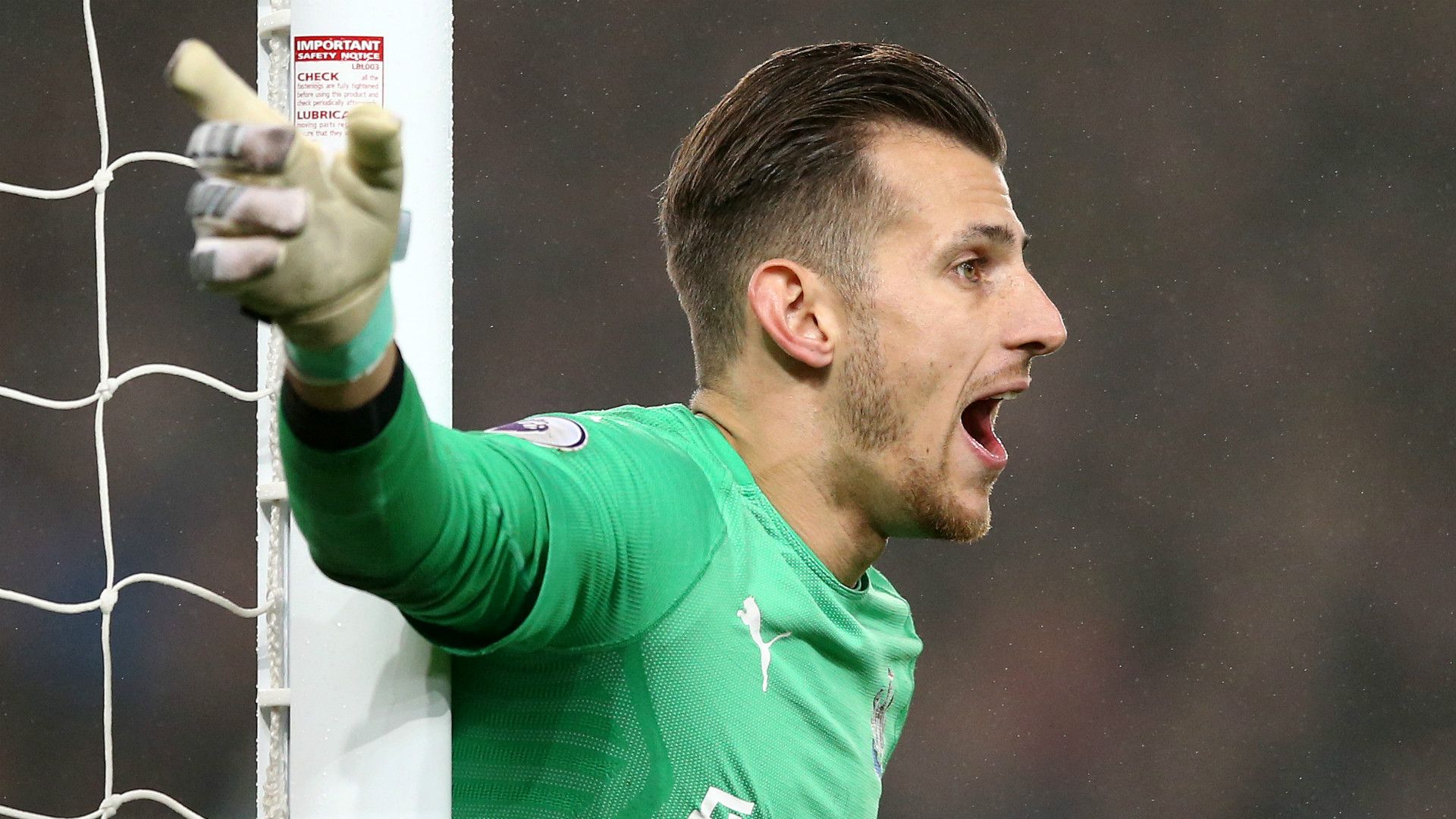 Martin Dubravka Newcastle 2018-19