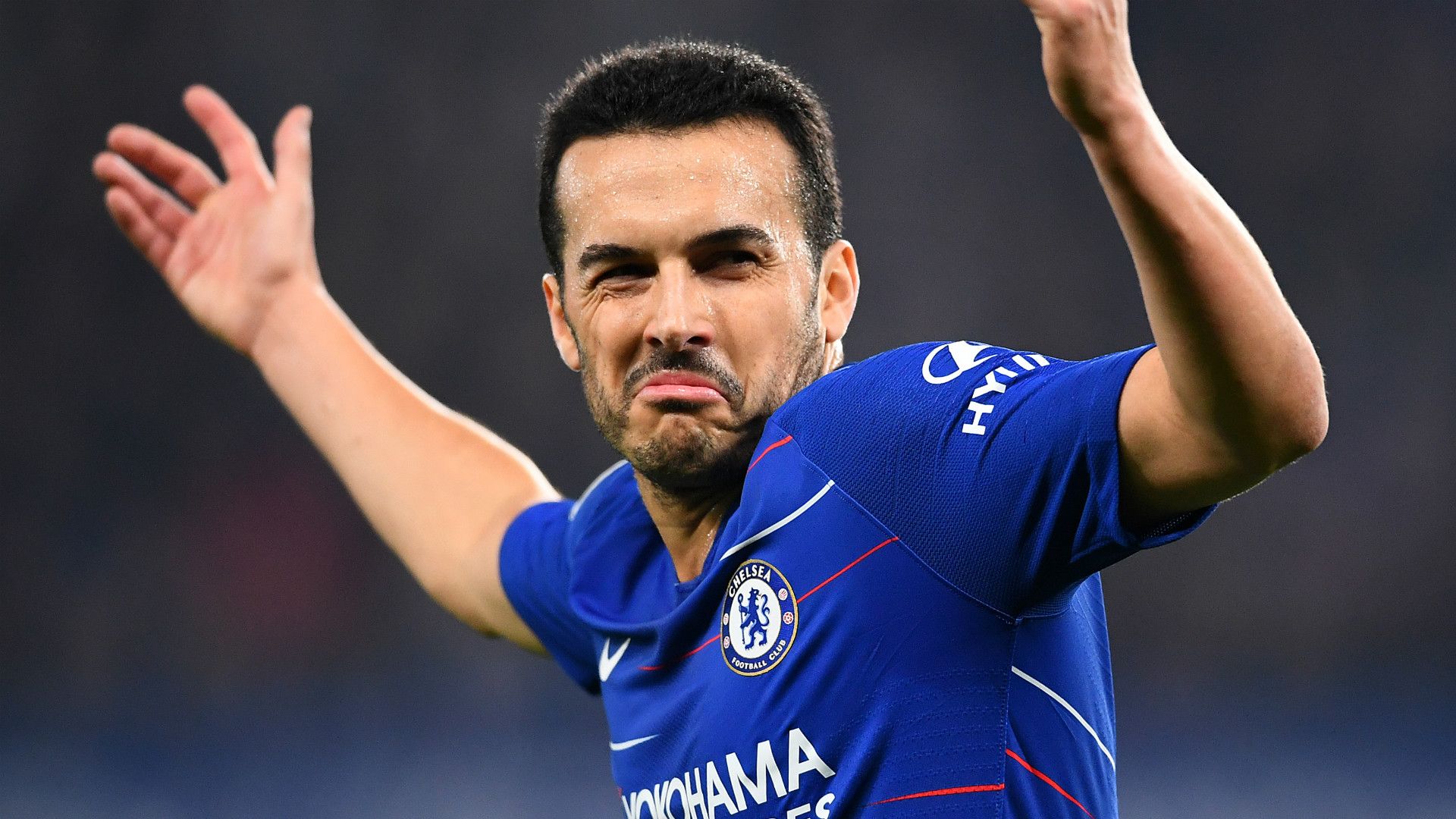 Pedro Chelsea 2018-19