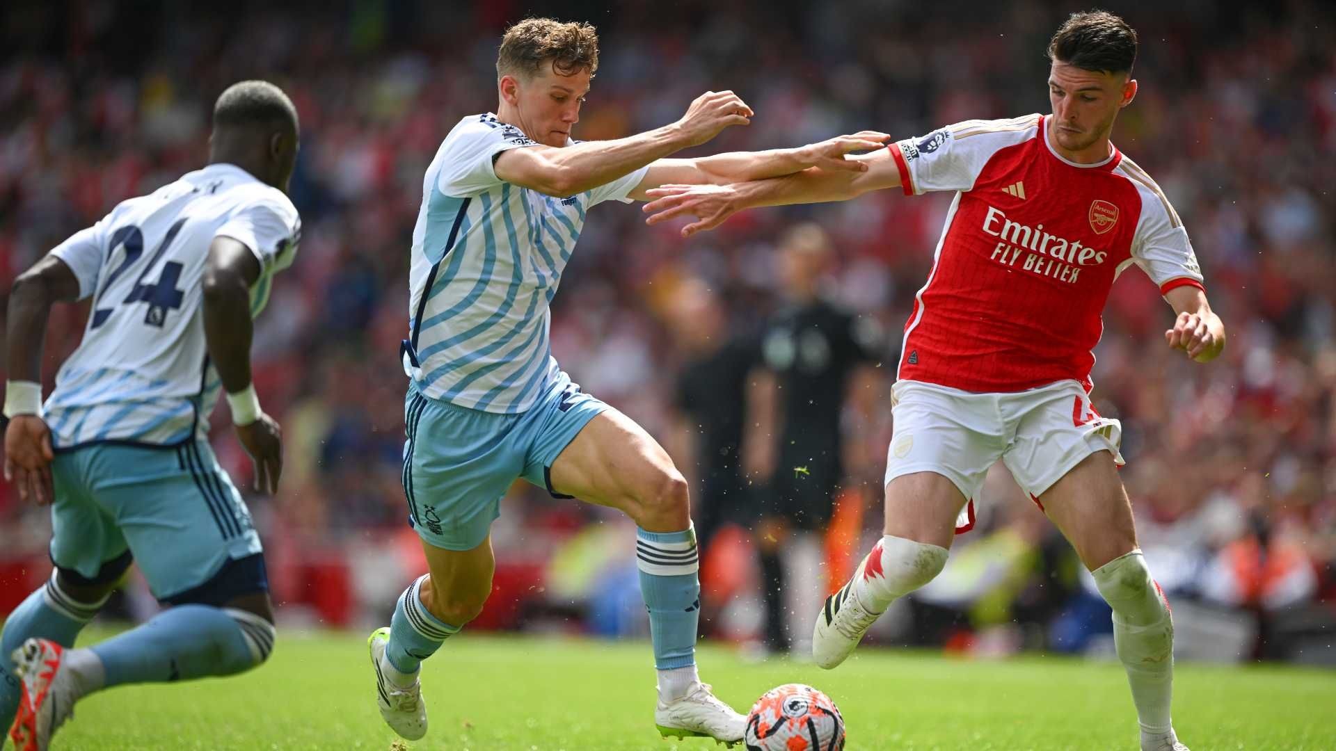 arsenal forest