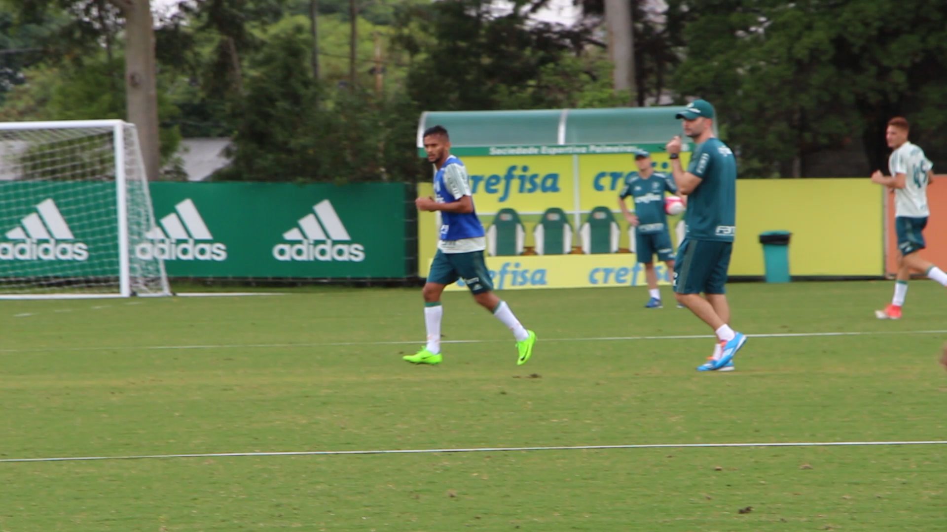 scarpa_palmeiras