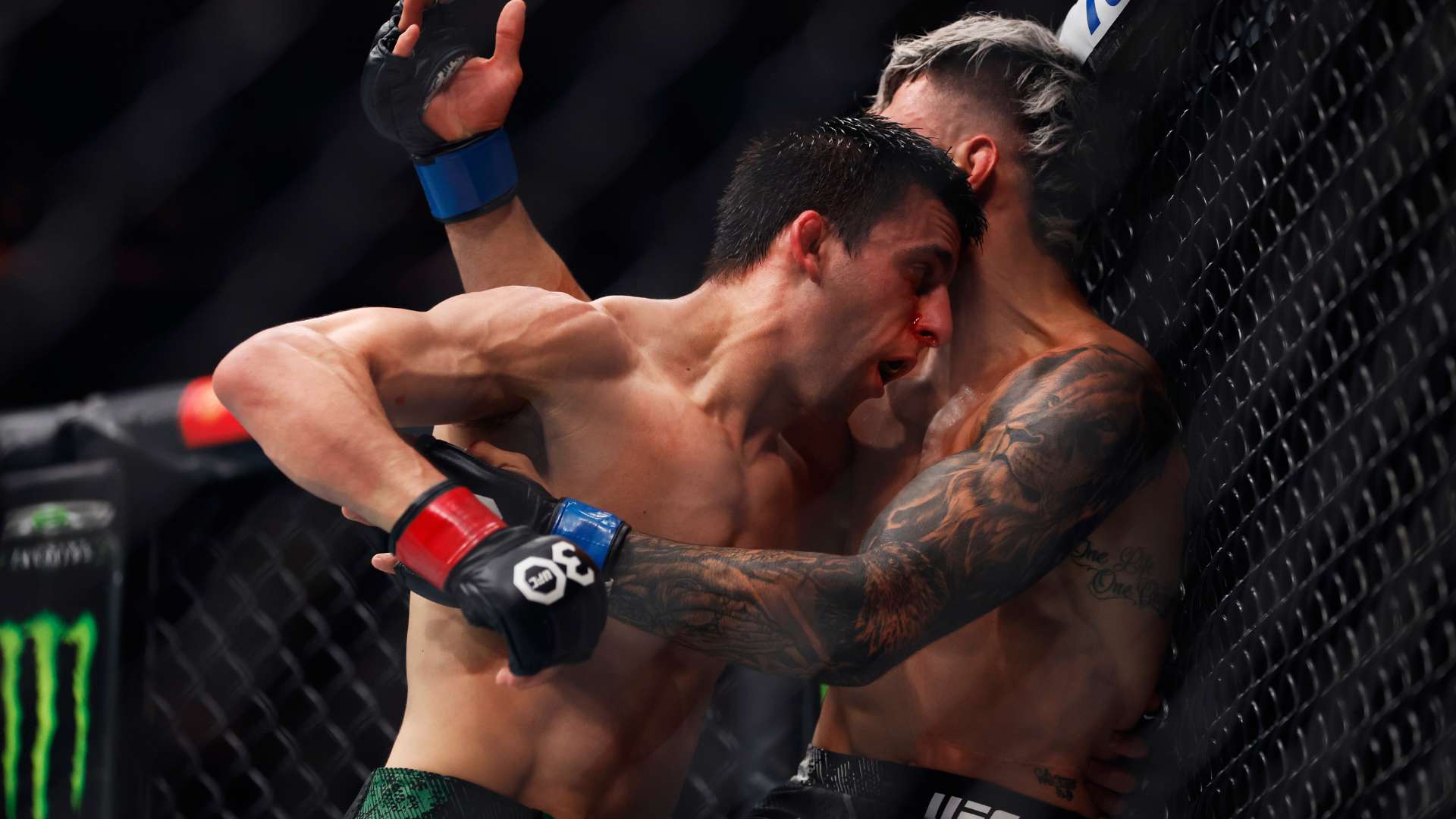 UFC 295 Steve Erceg v Costa