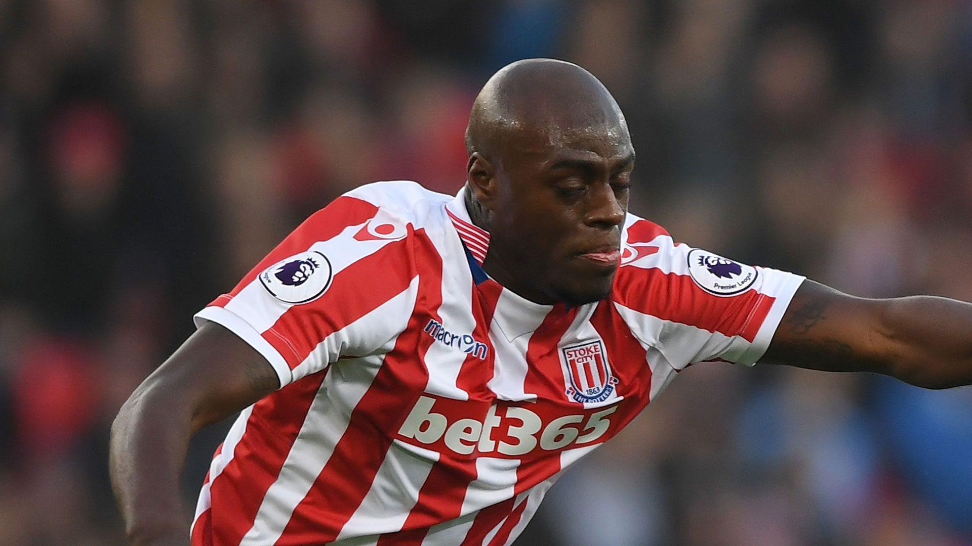 Bruno Martins Indi 12312016