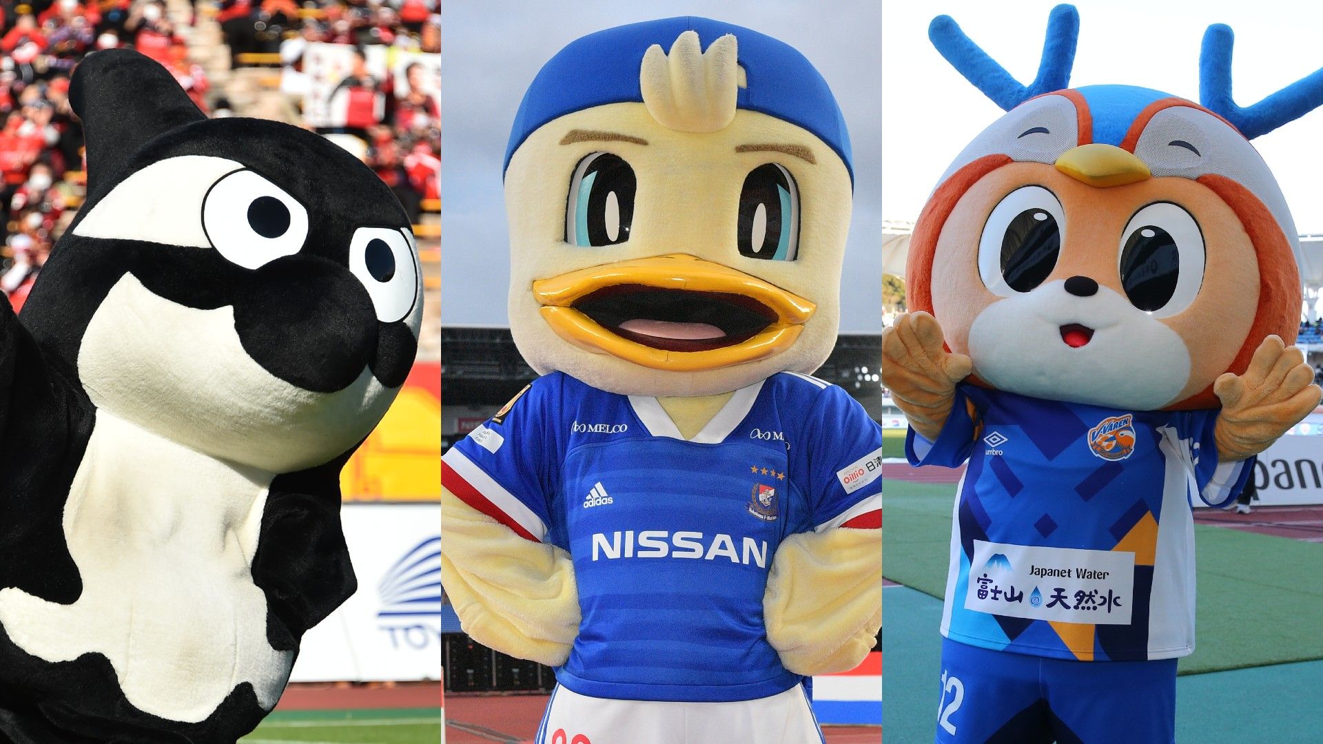 581a710f6c499fff0f9a256289caca5f201669aa