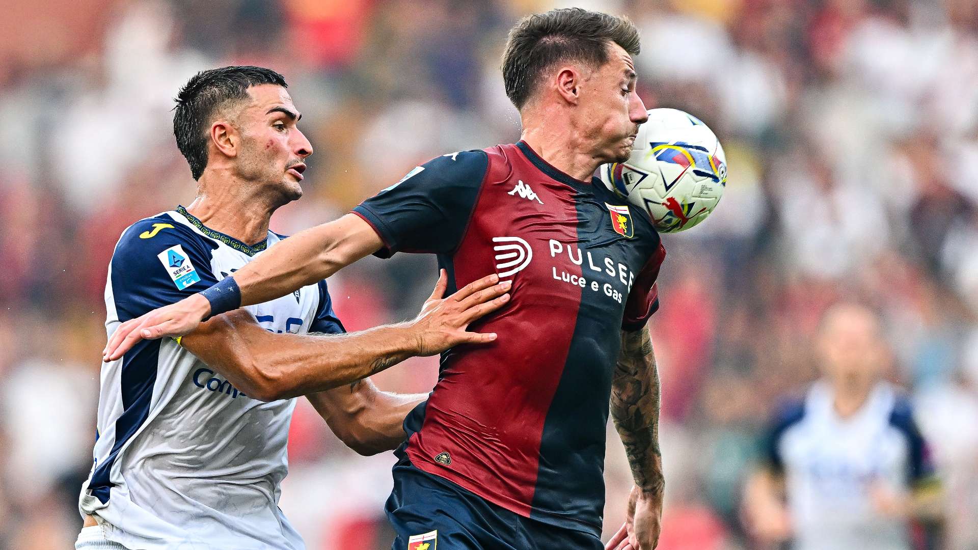 Genoa Hellas Verona Andrea Pinamonti Diego Coppola