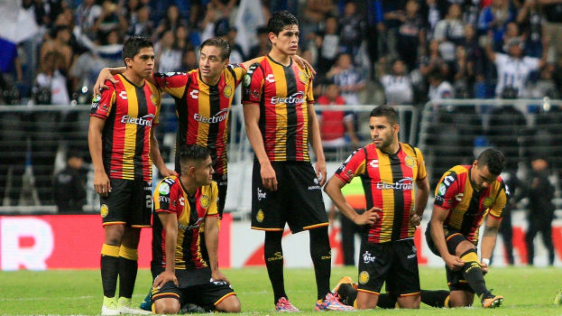 Leones Negros