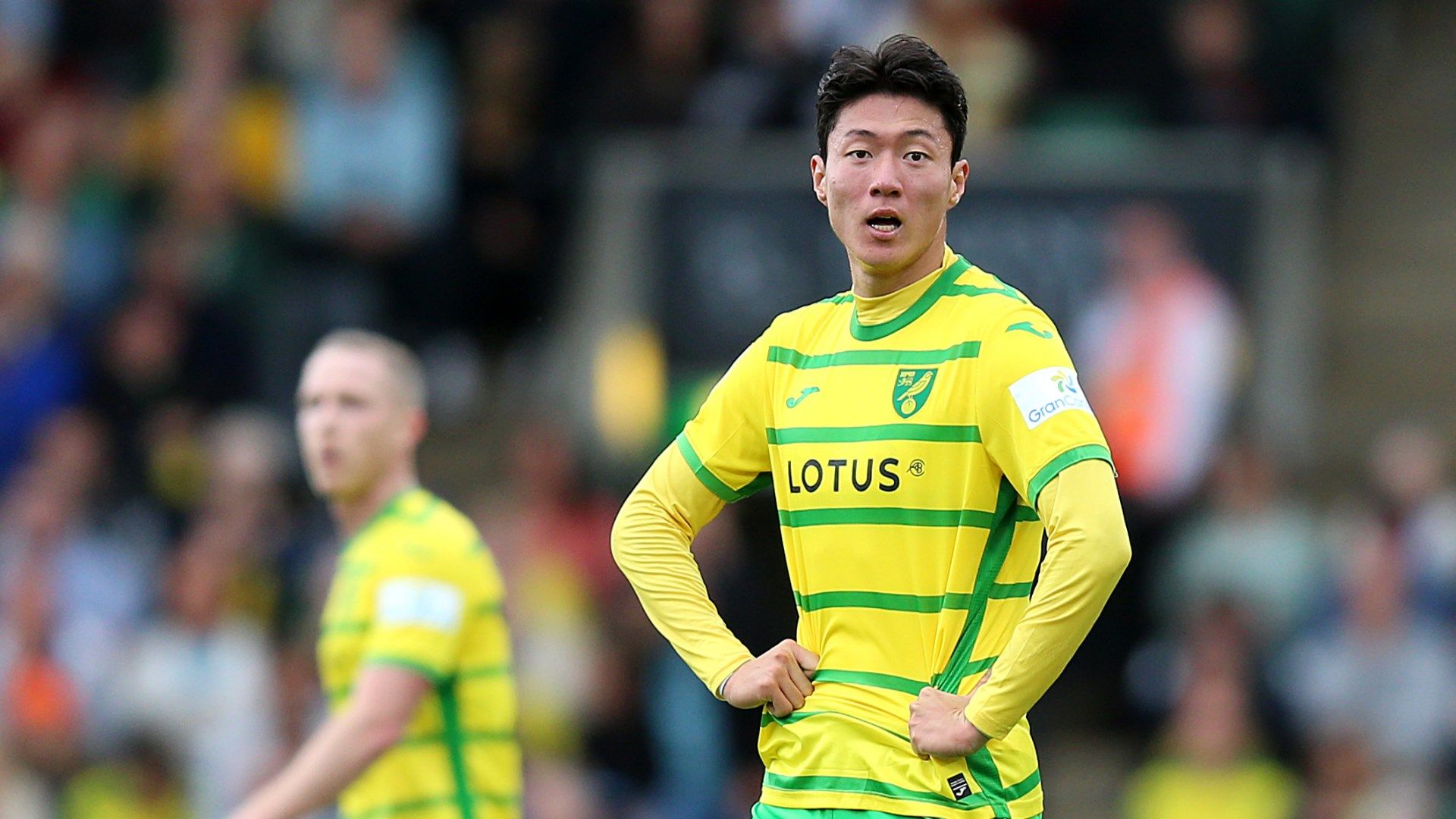 Hwang Ui-jo Norwich City 2023-24