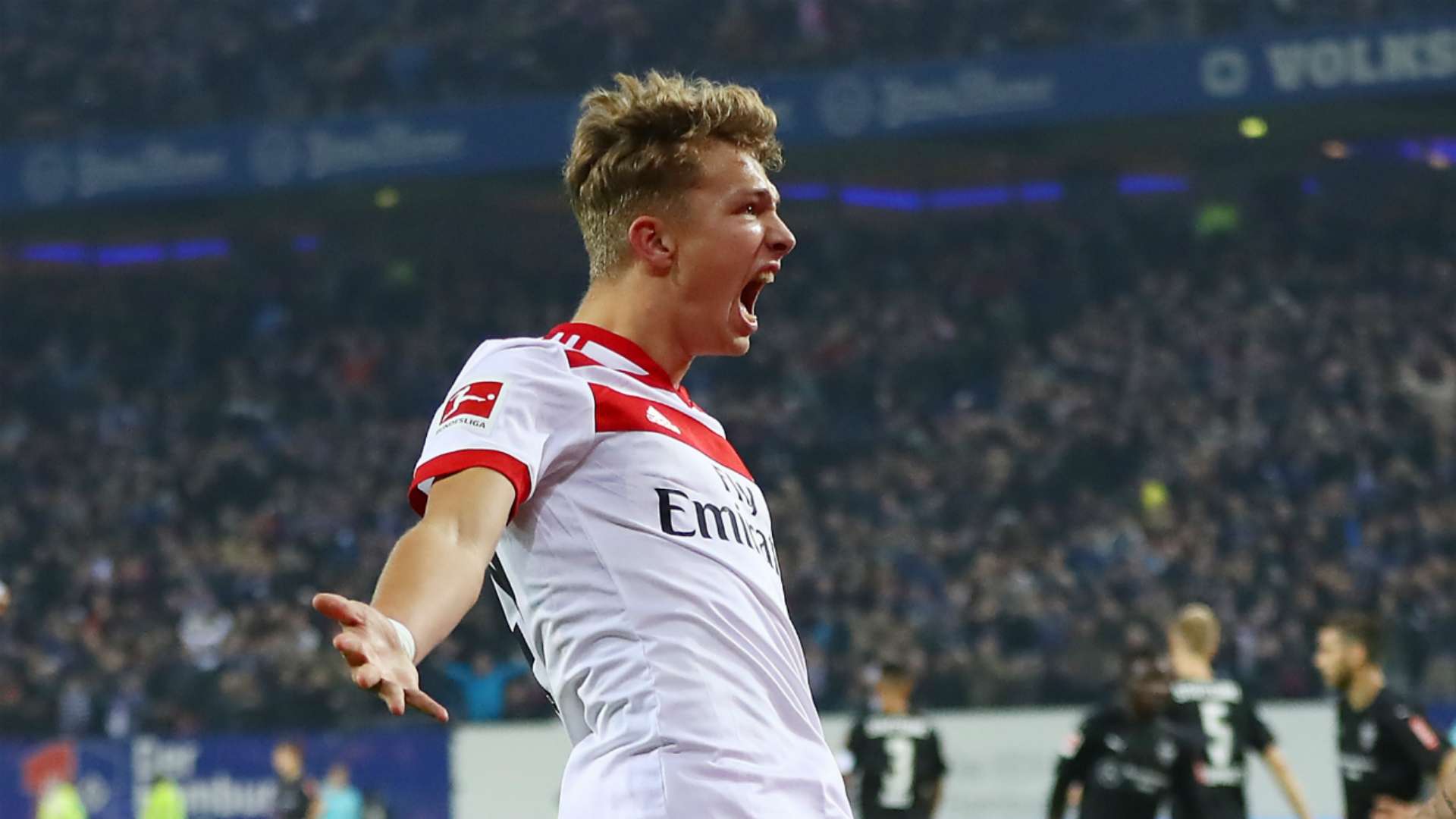 Jann-Fiete Arp Hamburg