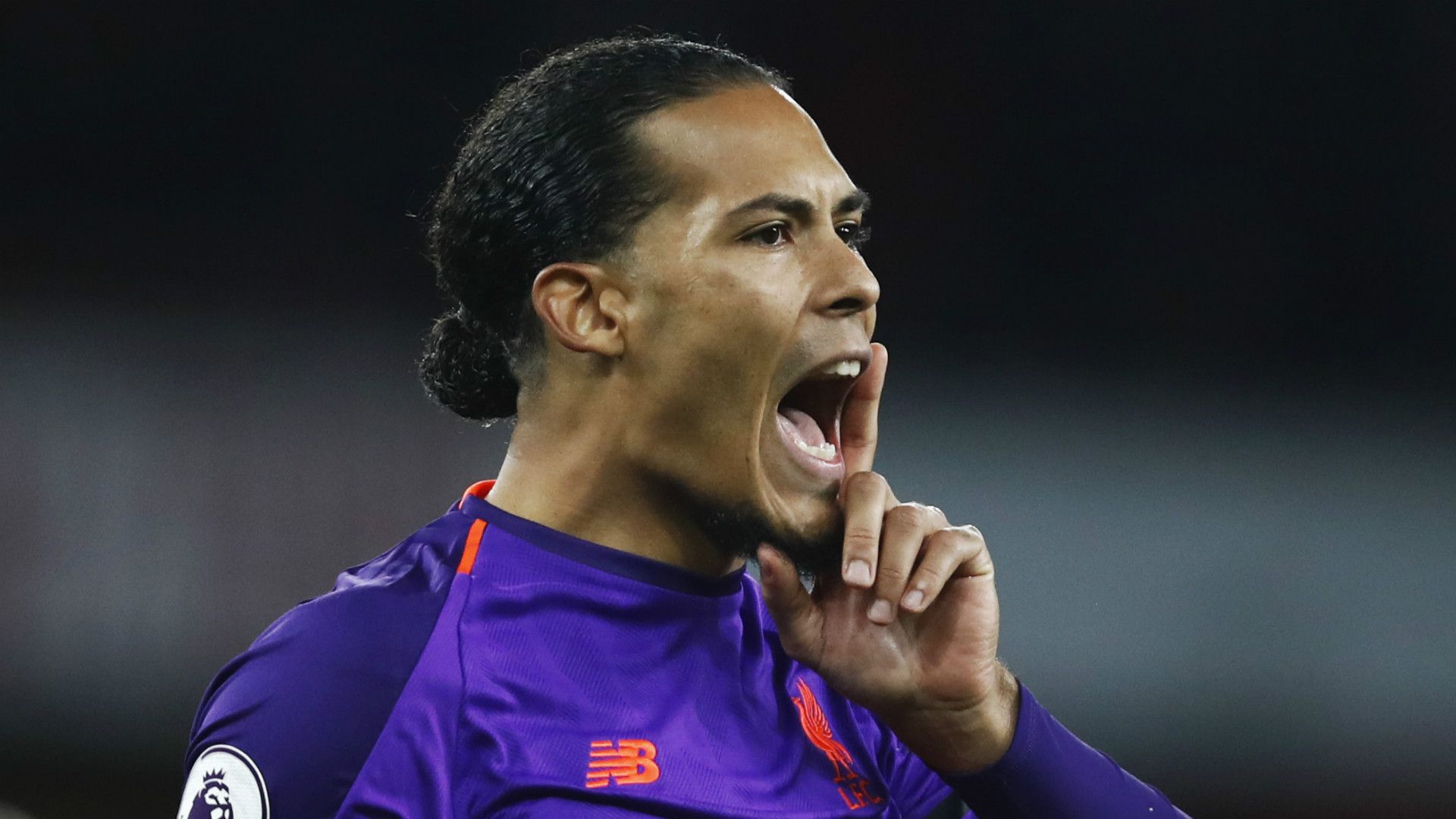 Virgil van Dijk Liverpool 2018-19