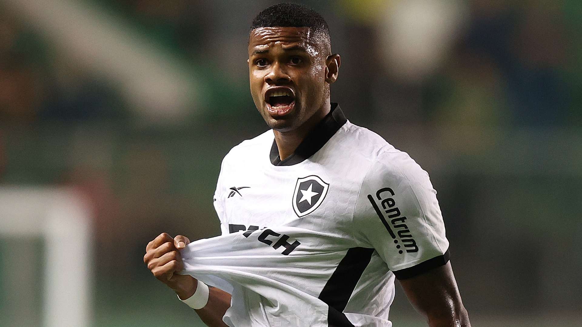 Júnior Santos, Botafogo 2023