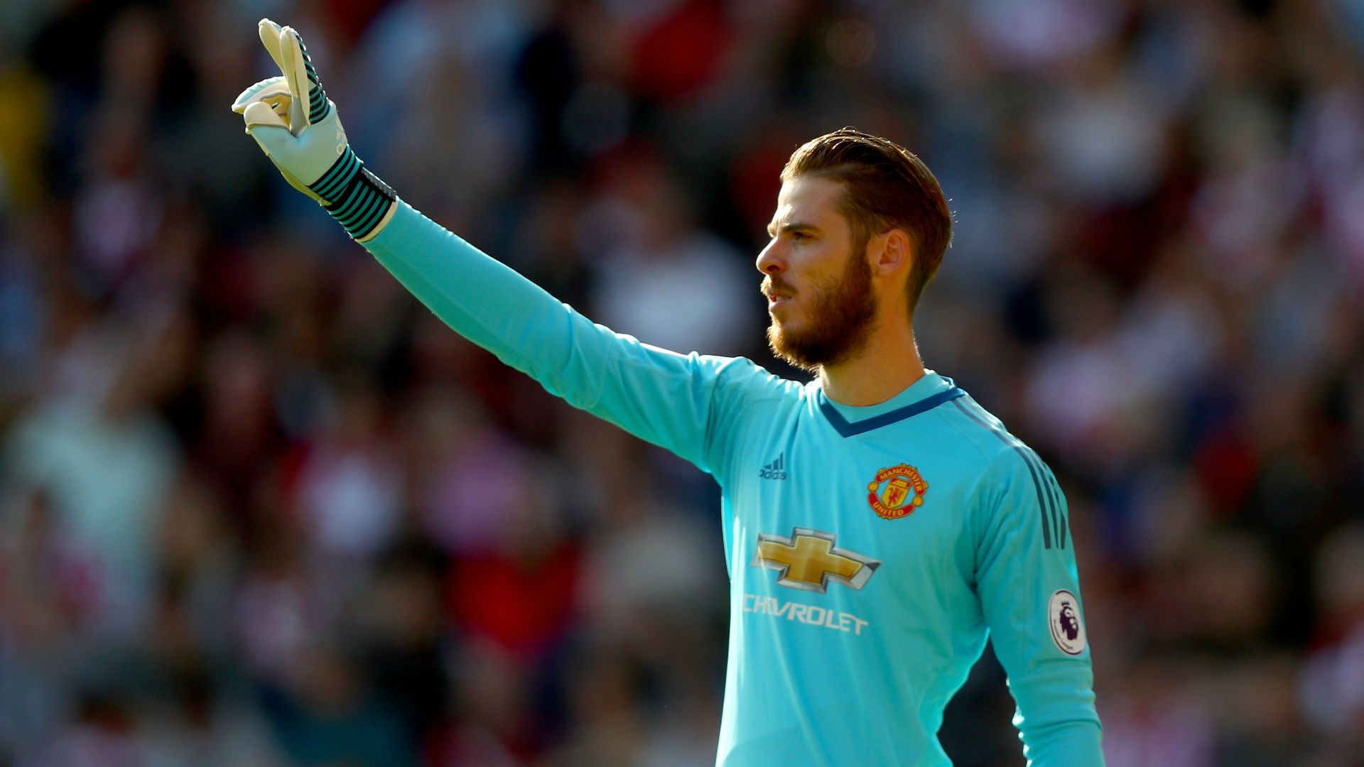 DavidDeGea-Cropped