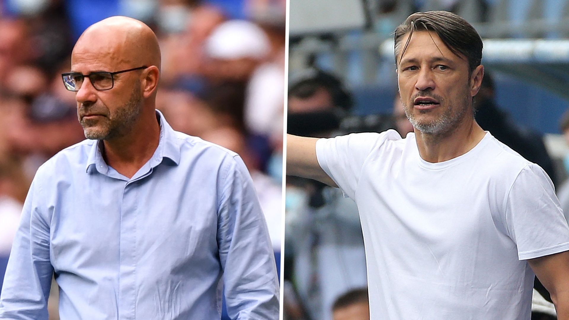 Peter Bosz Niko Kovac