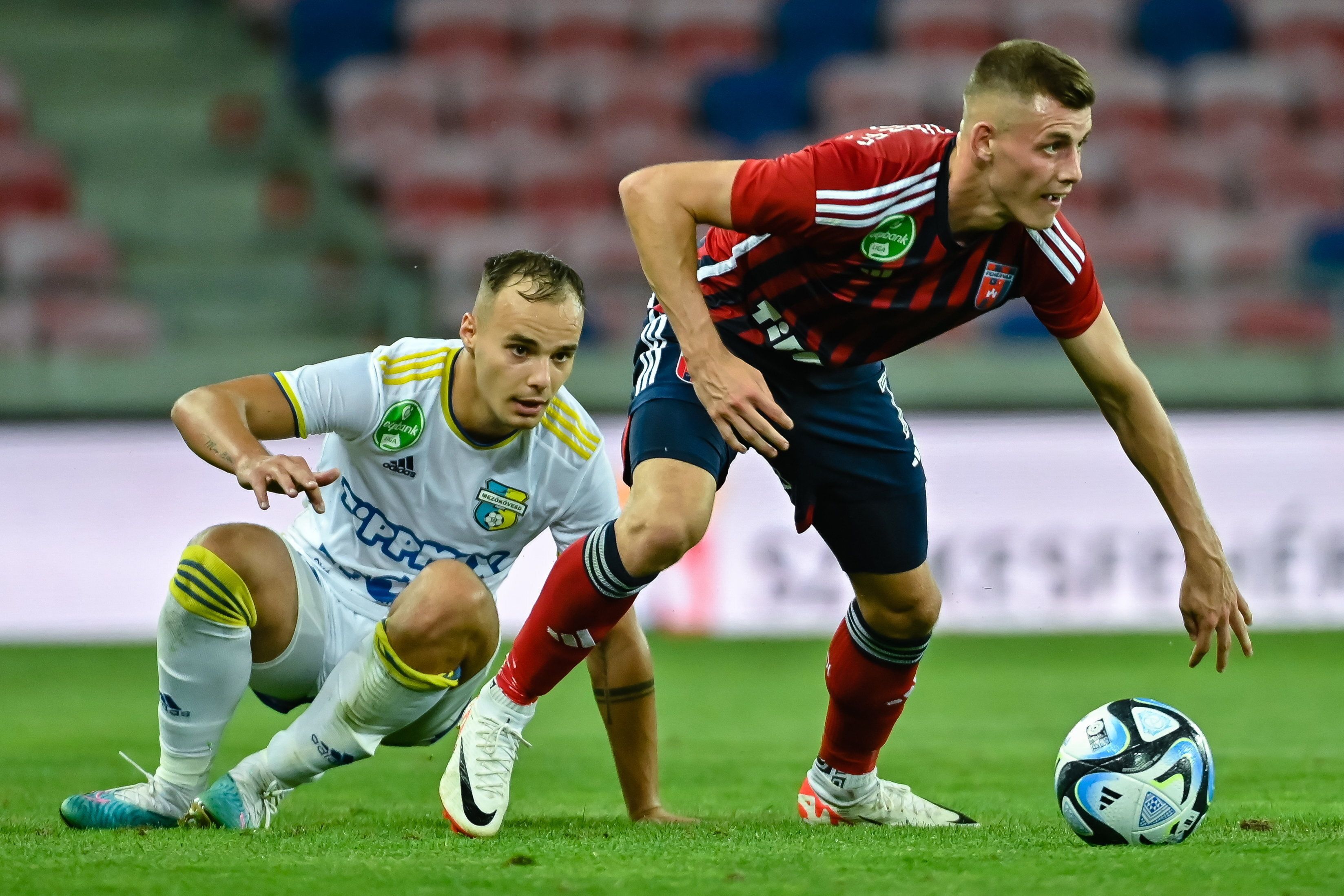 Schön Szabolcs Fehérvár mezőkövesd