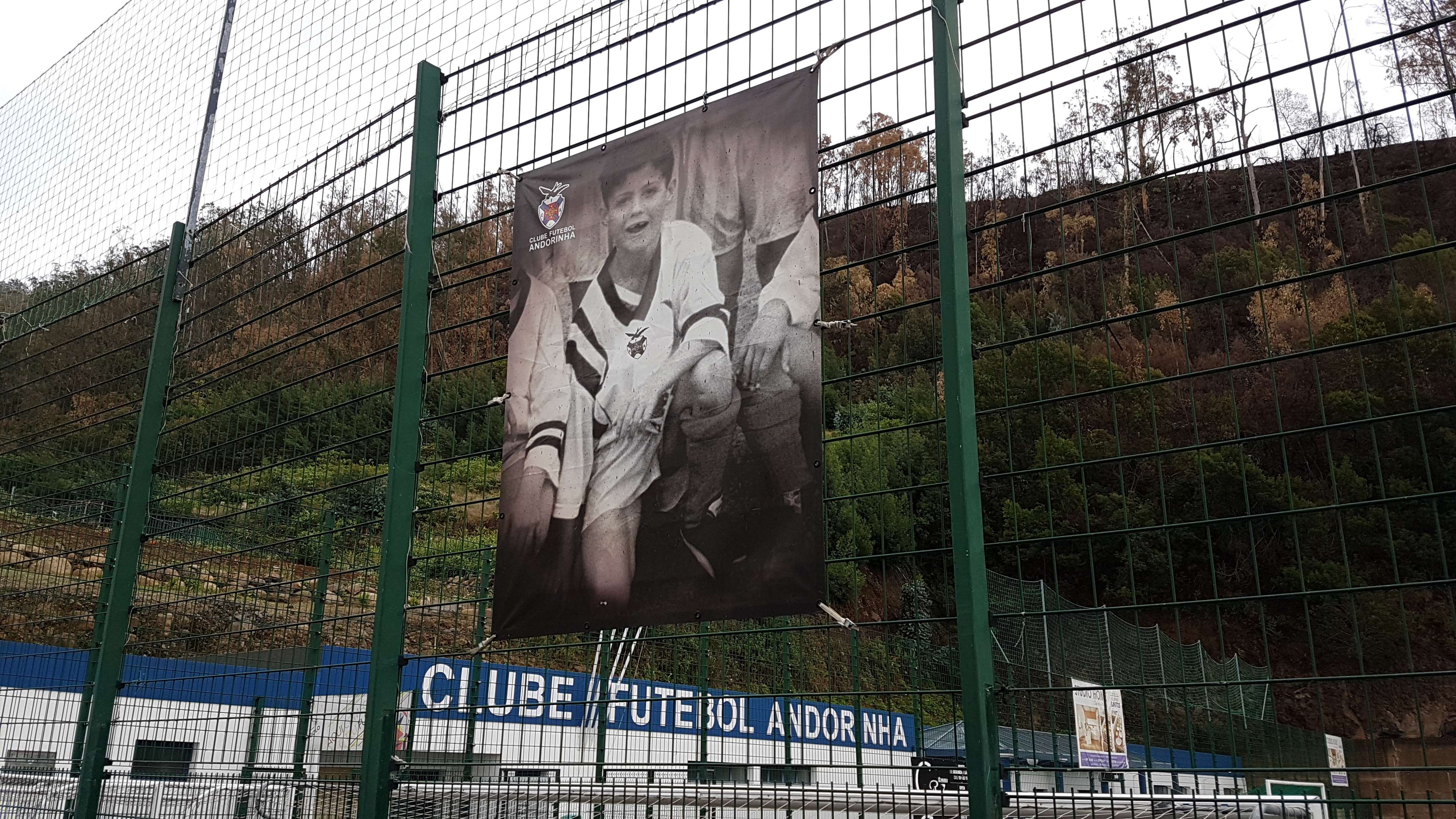 Cristiano Ronaldo Andorinha image Funchal Madeira