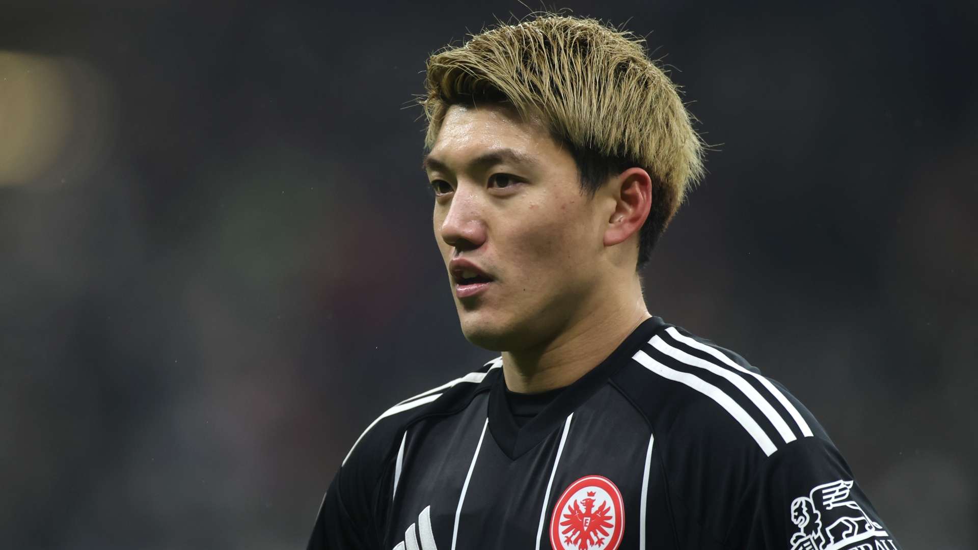 Ritsu Doan Frankfurt 01282026