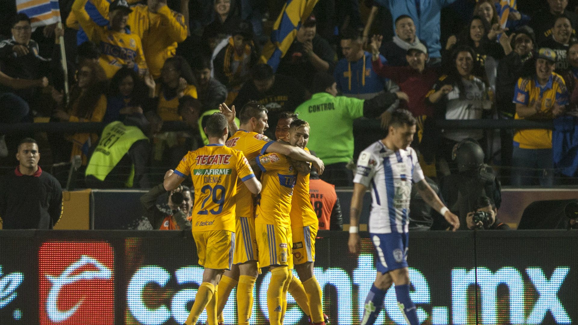 Tigres