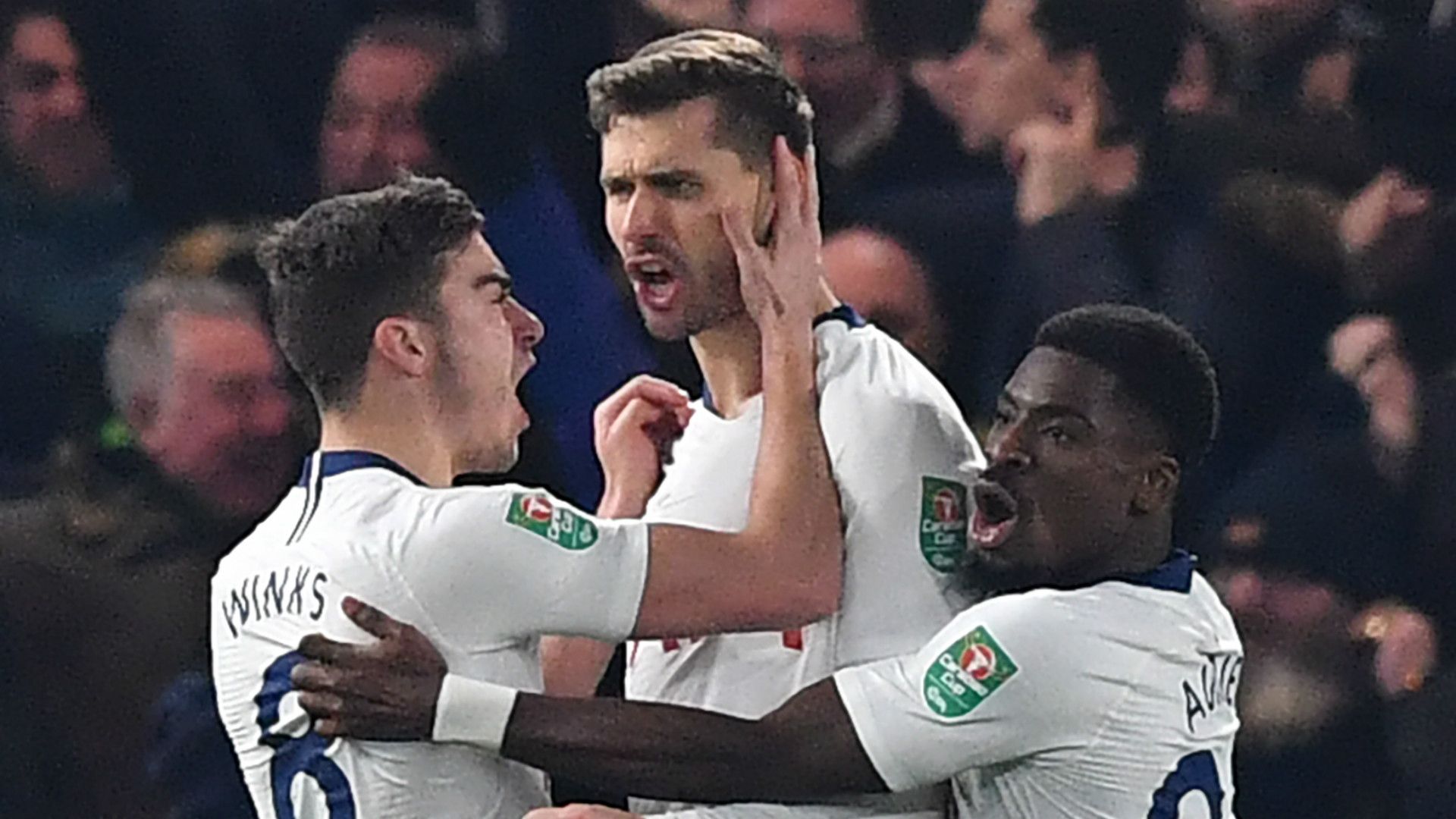 Fernando Llorente Tottenham 2018-19