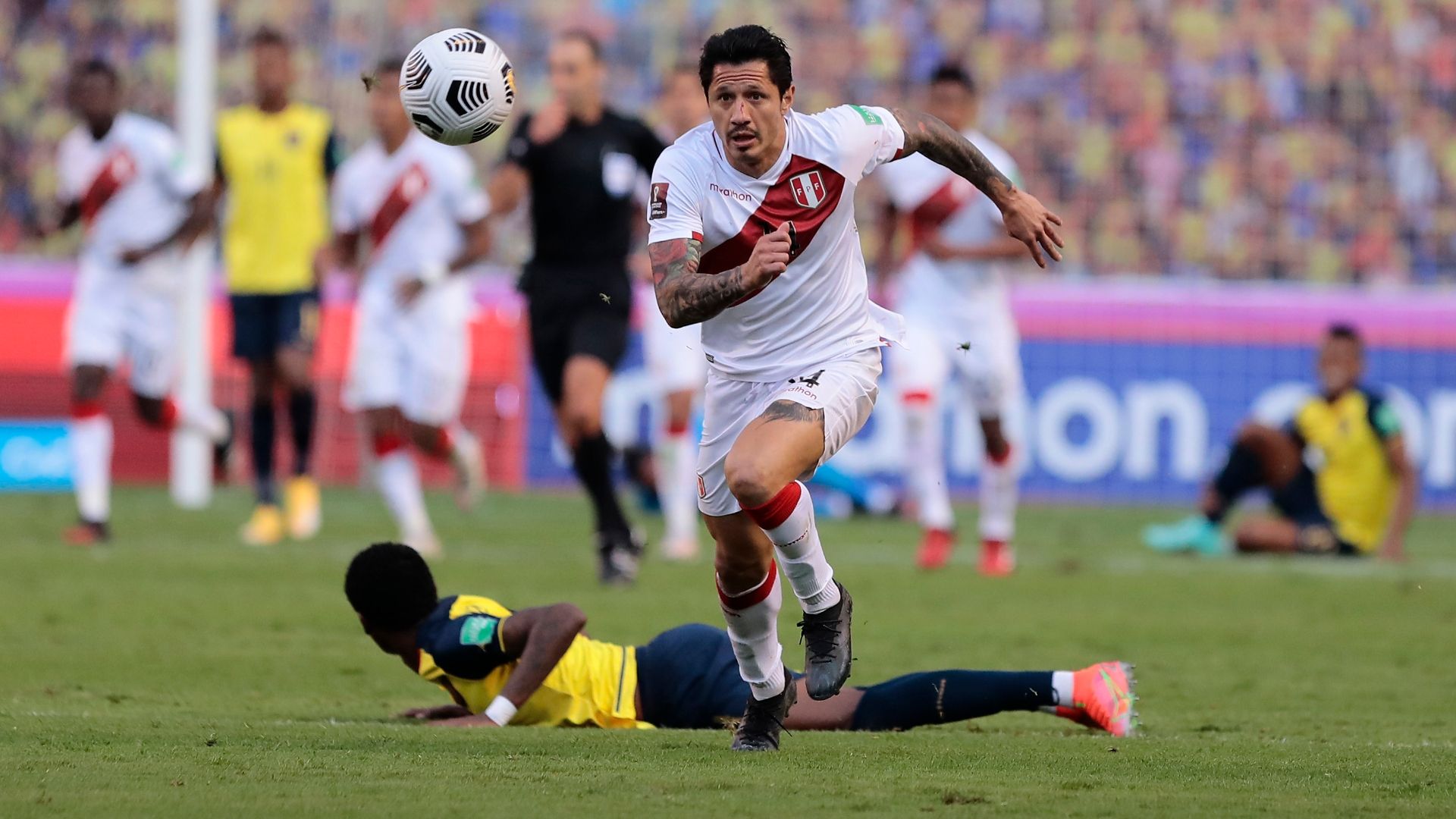 Lapadula Ecuador Perù