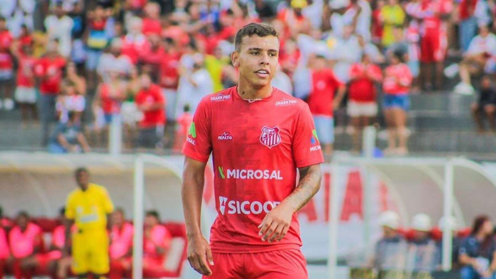 Vinícius Popó Capivariano 2023