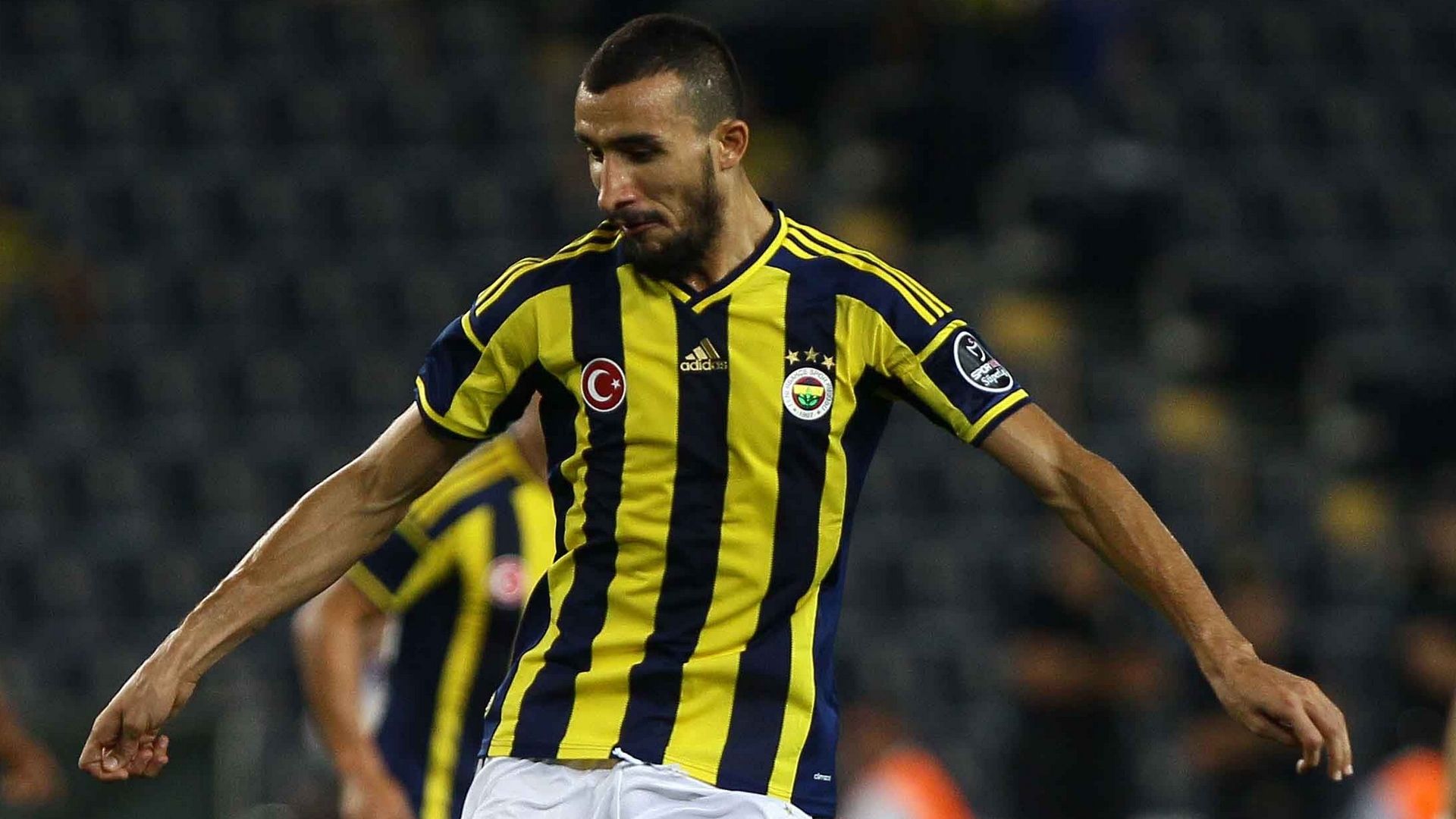 Mehmet Topal Fenerbahce