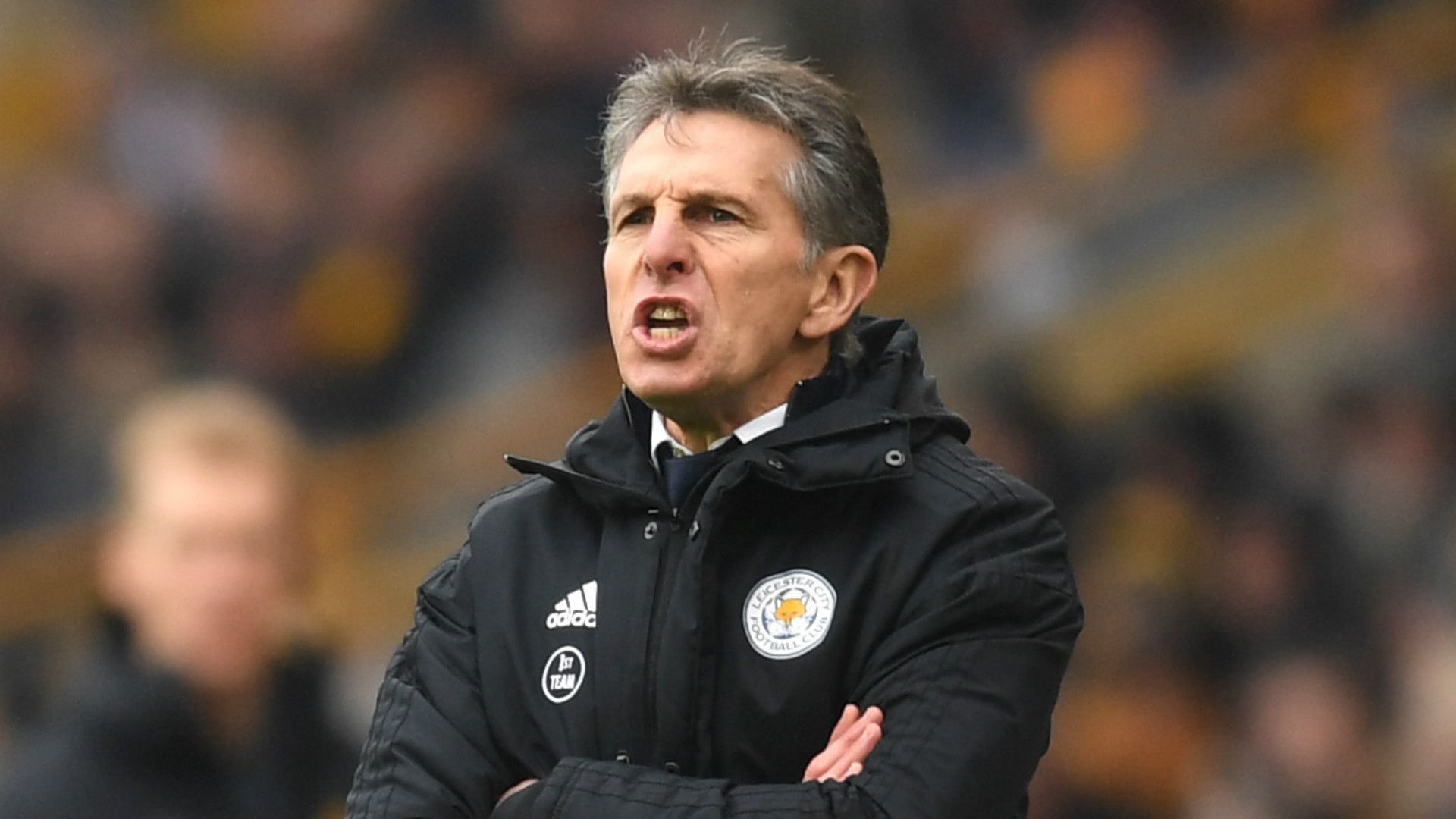Claude Puel Leicester City 2018-19