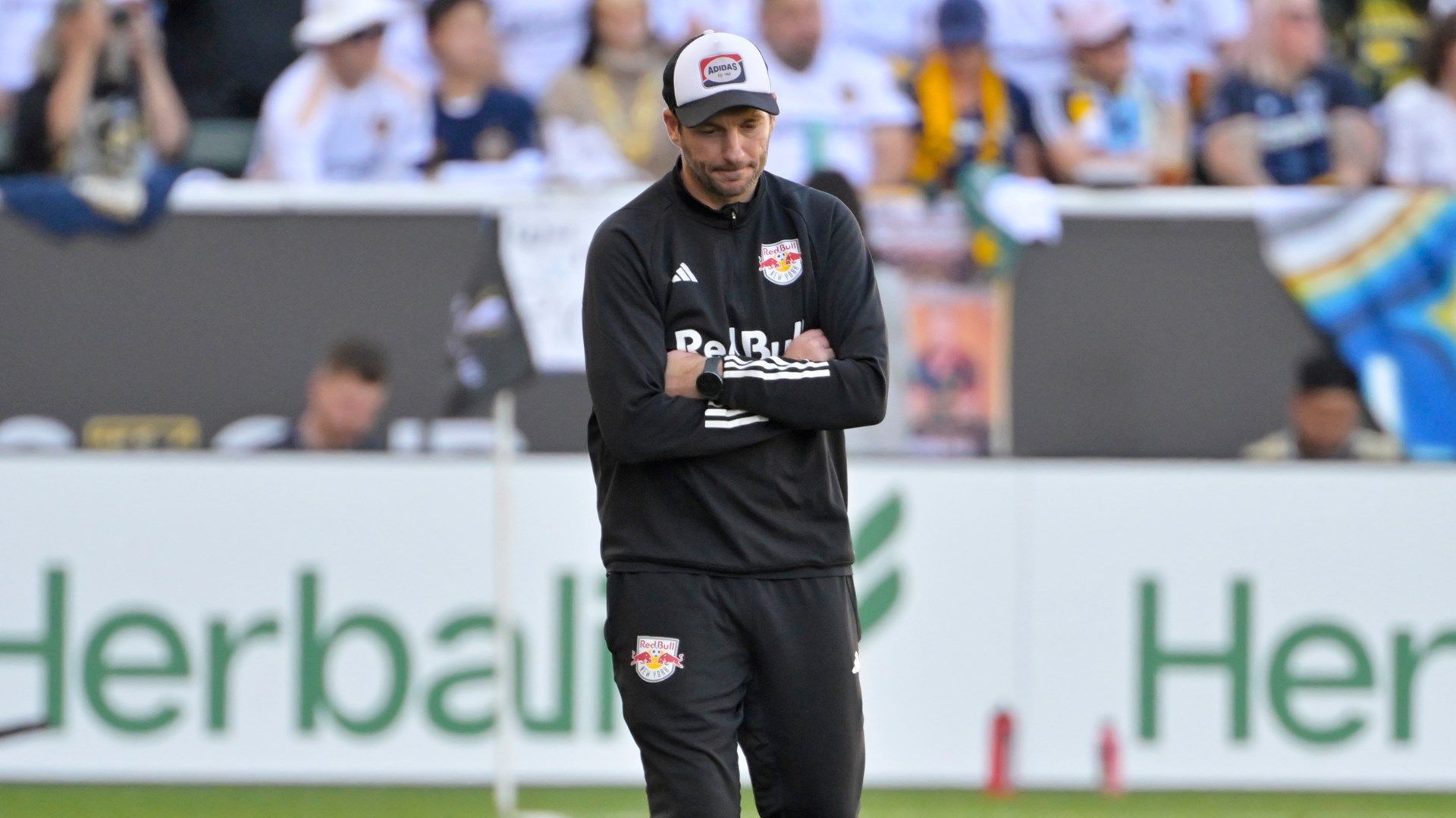 Sandro Schwarz, New York Red Bulls