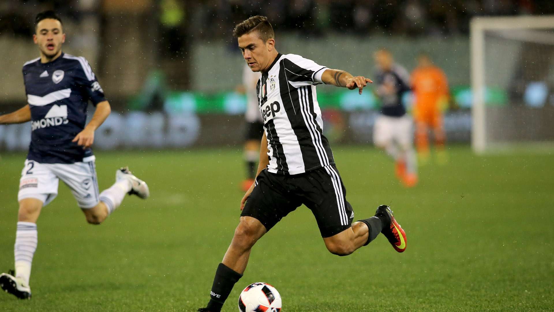 1zvottpo5rcu1vqj50n40w5hx