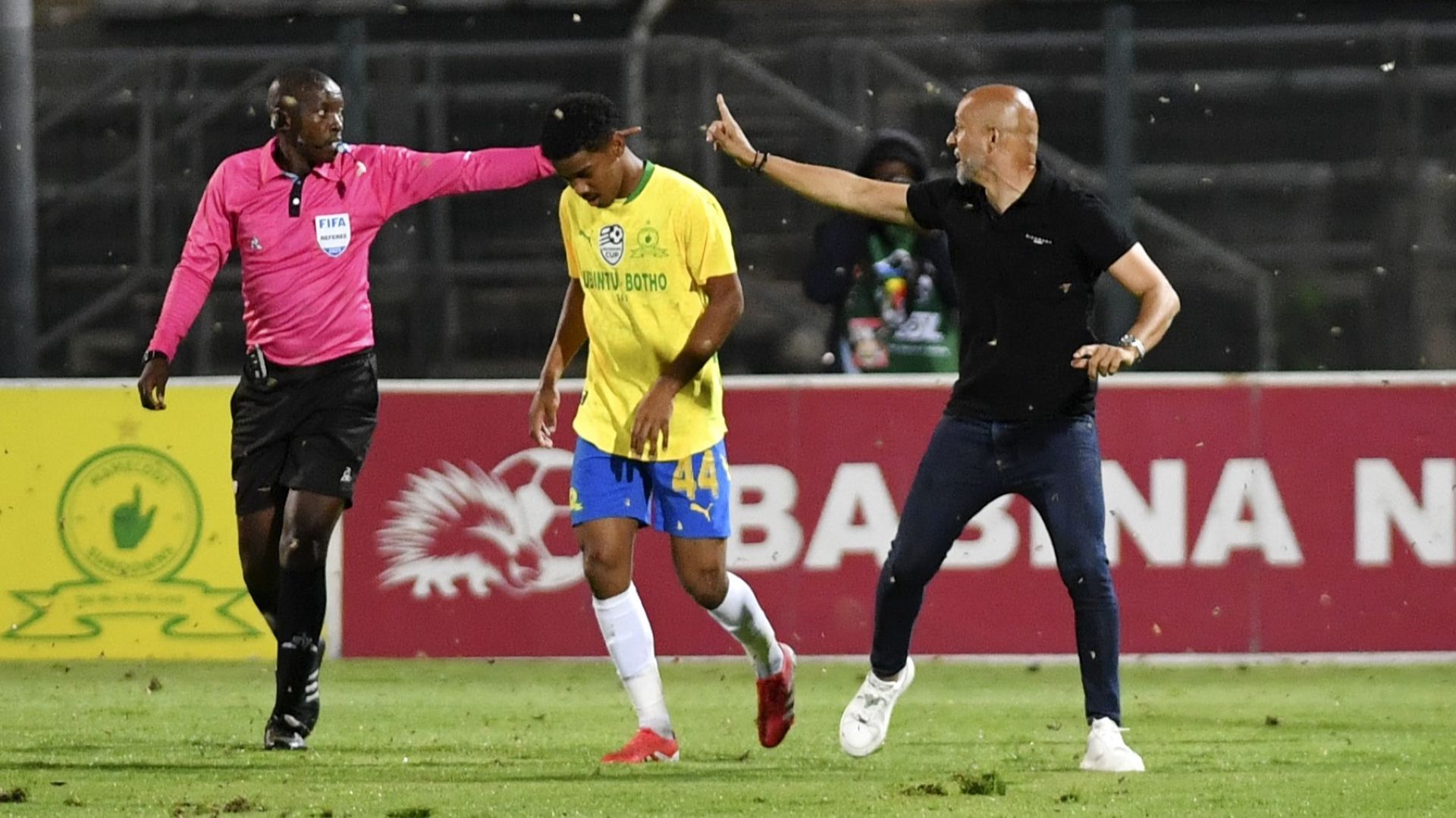 Miguel Cardoso, Mamelodi Sundowns