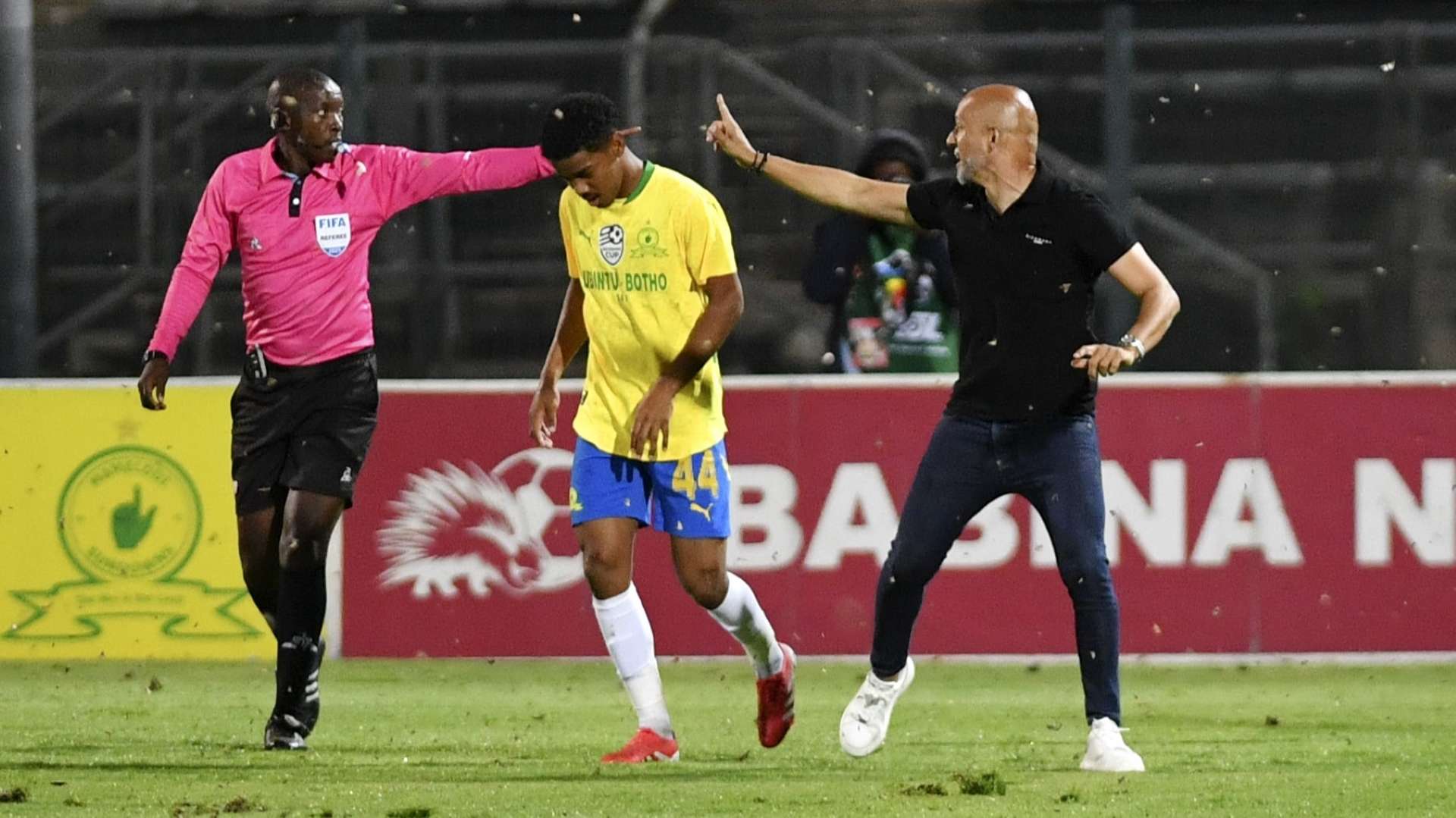 Miguel Cardoso, Mamelodi Sundowns