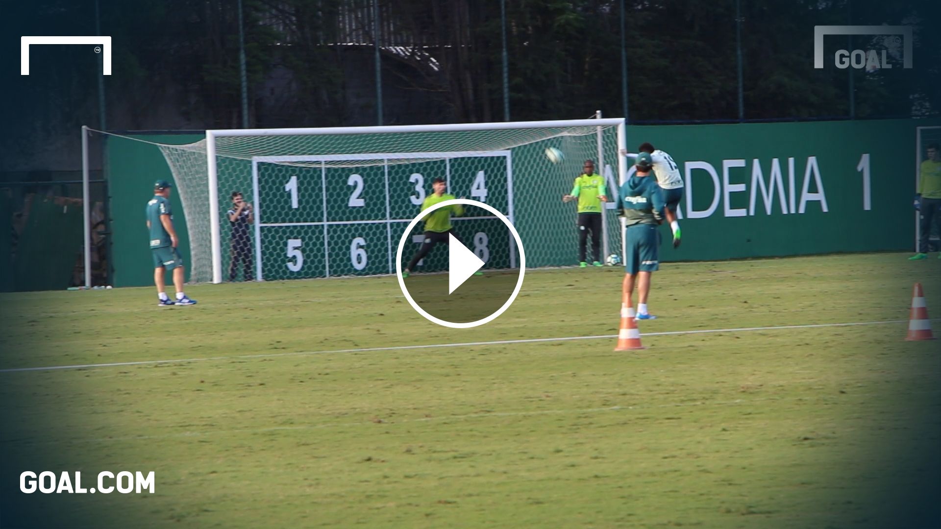 treino_palmeiras