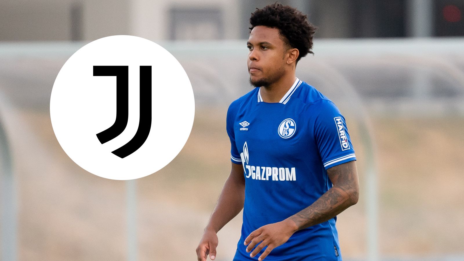 Weston McKennie Juventus GFX
