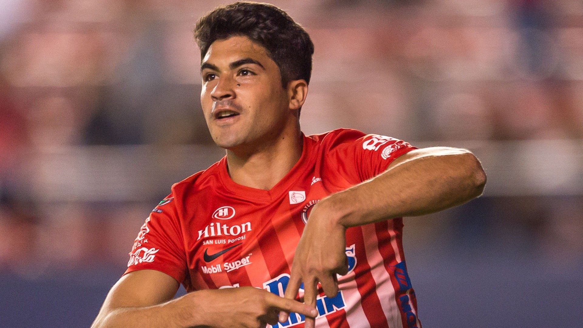 Nicolás Ibáñez San Luis