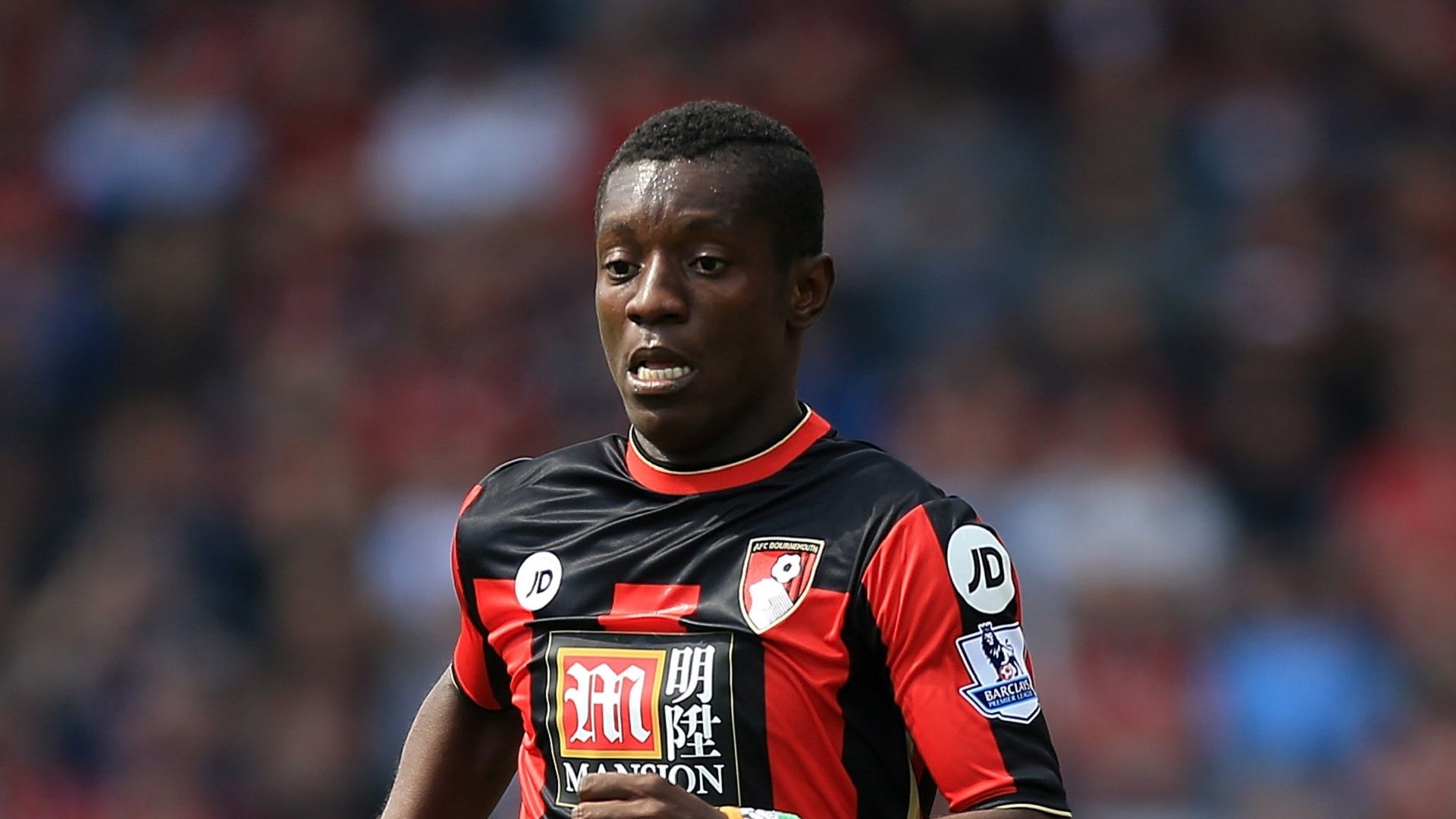 Max Gradel